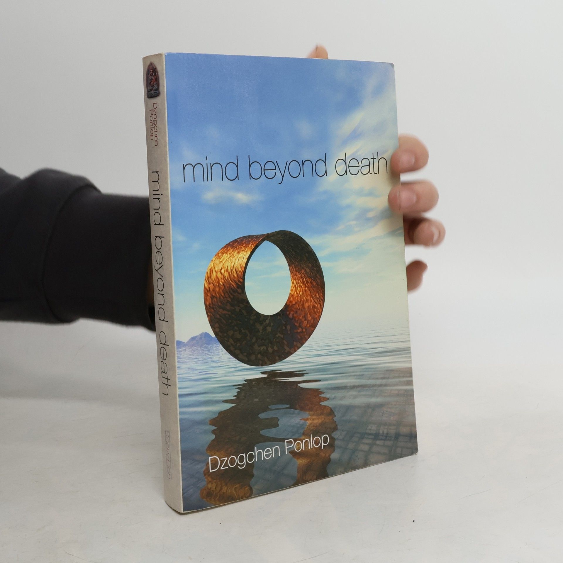 Dzogchen P Rinpoche Mind Beyond Death