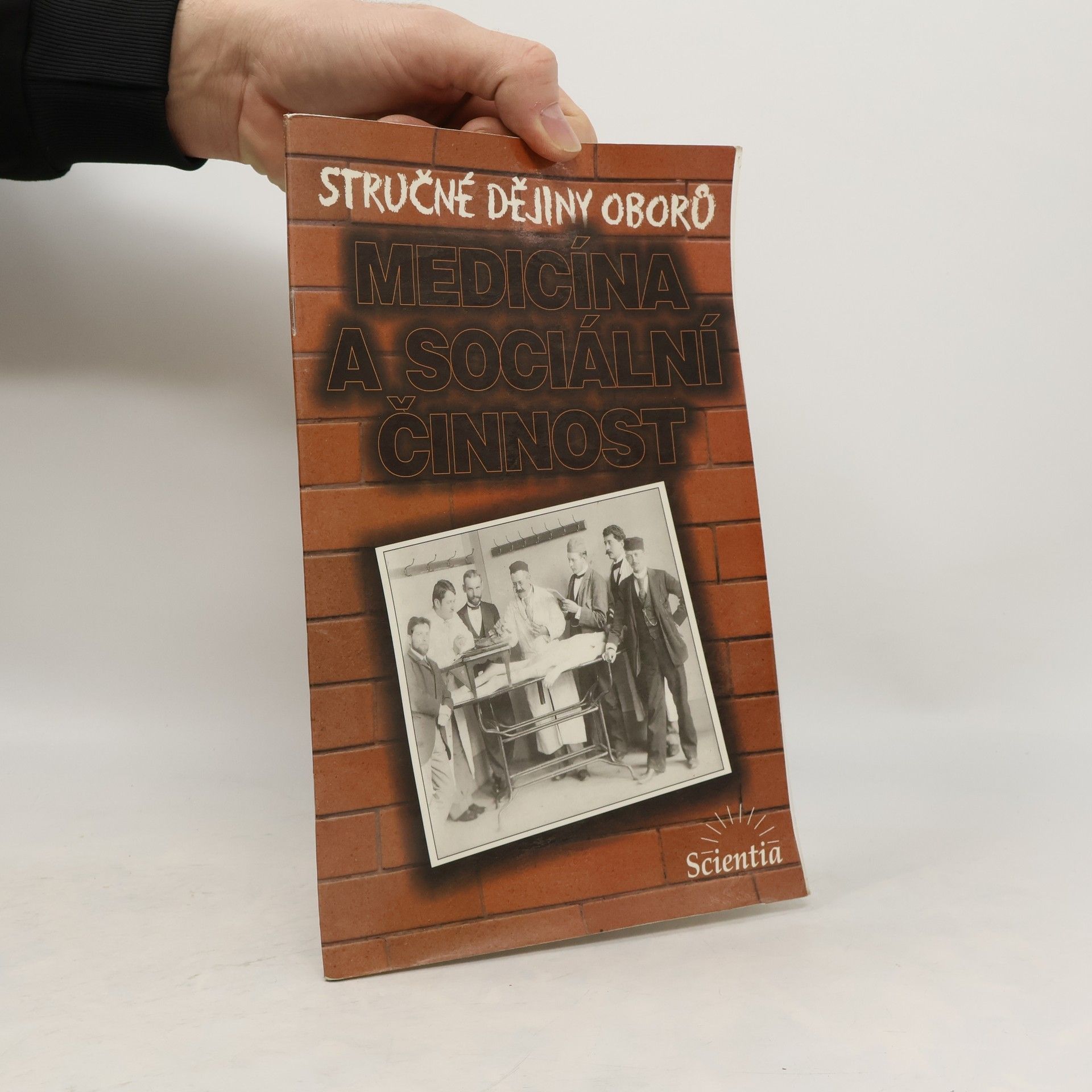 Ludmila Cuřínová Stručné dějiny oborů