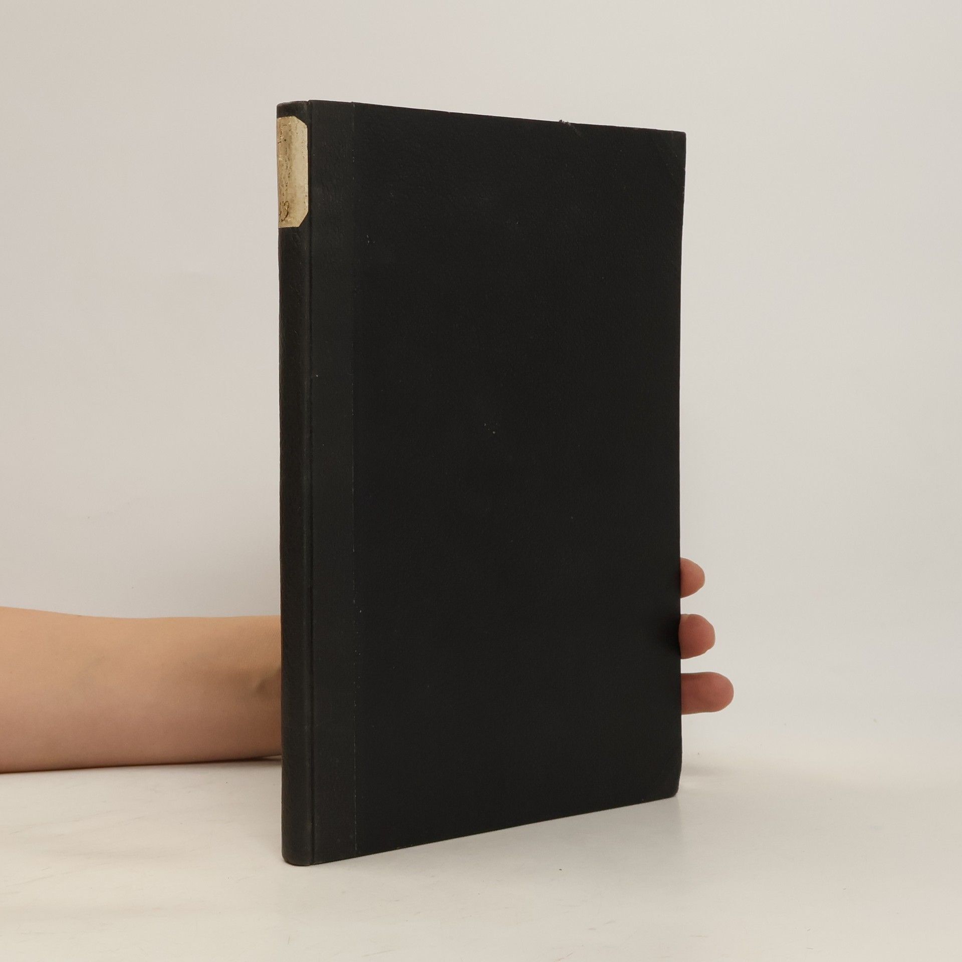 Otakar Hejnic Petr Brandl