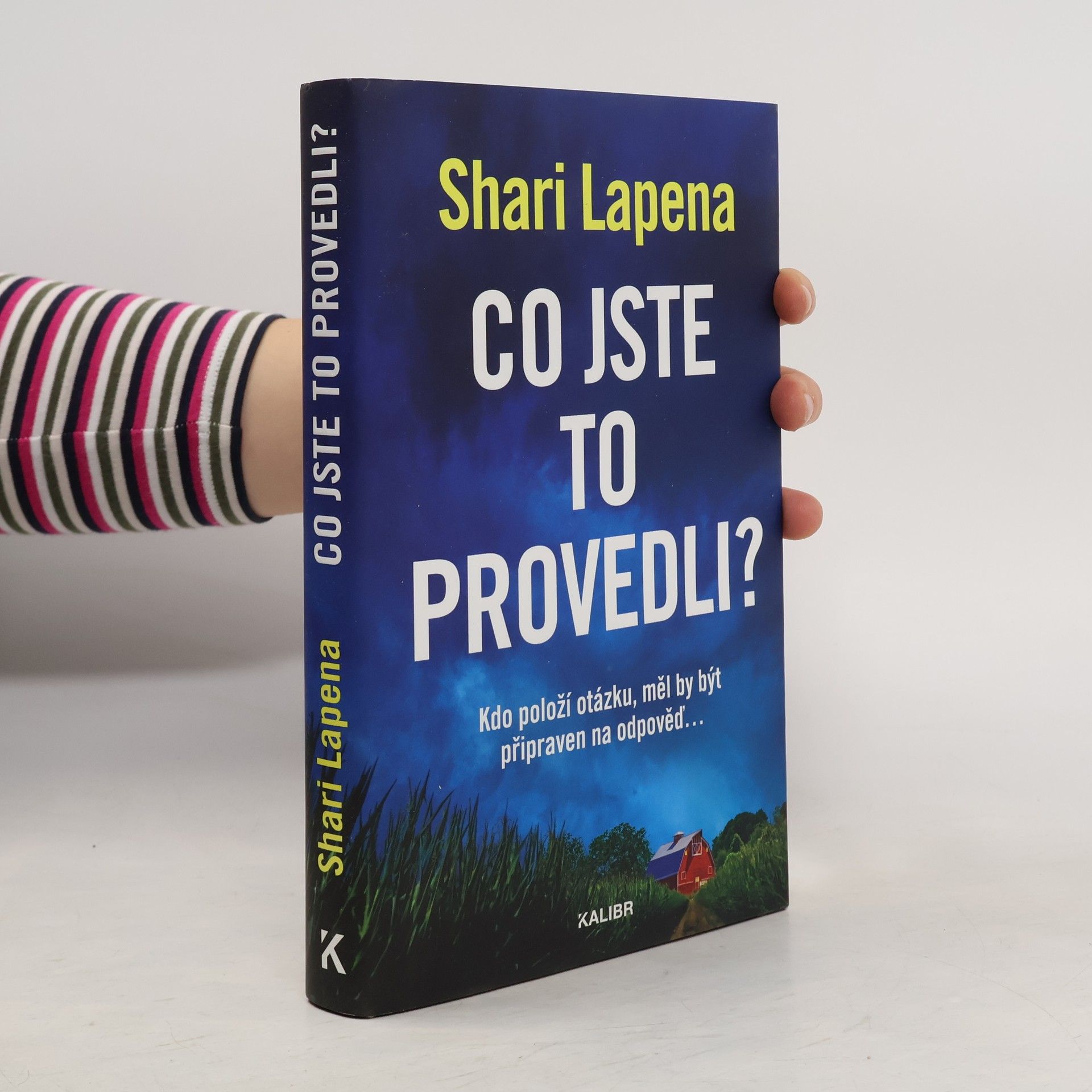 Shari Lapena Co jste to provedli?