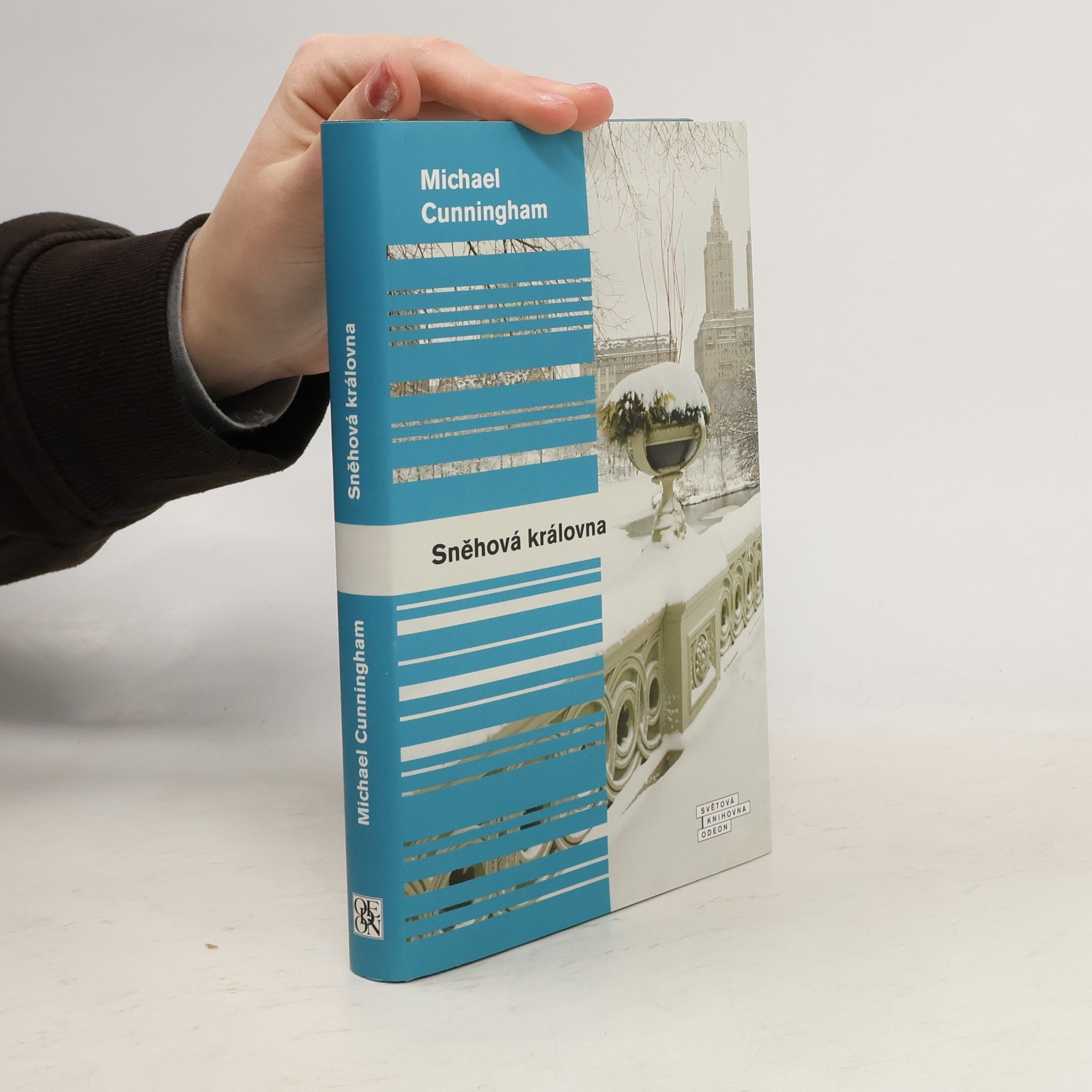 Michael Cunningham Sněhová královna