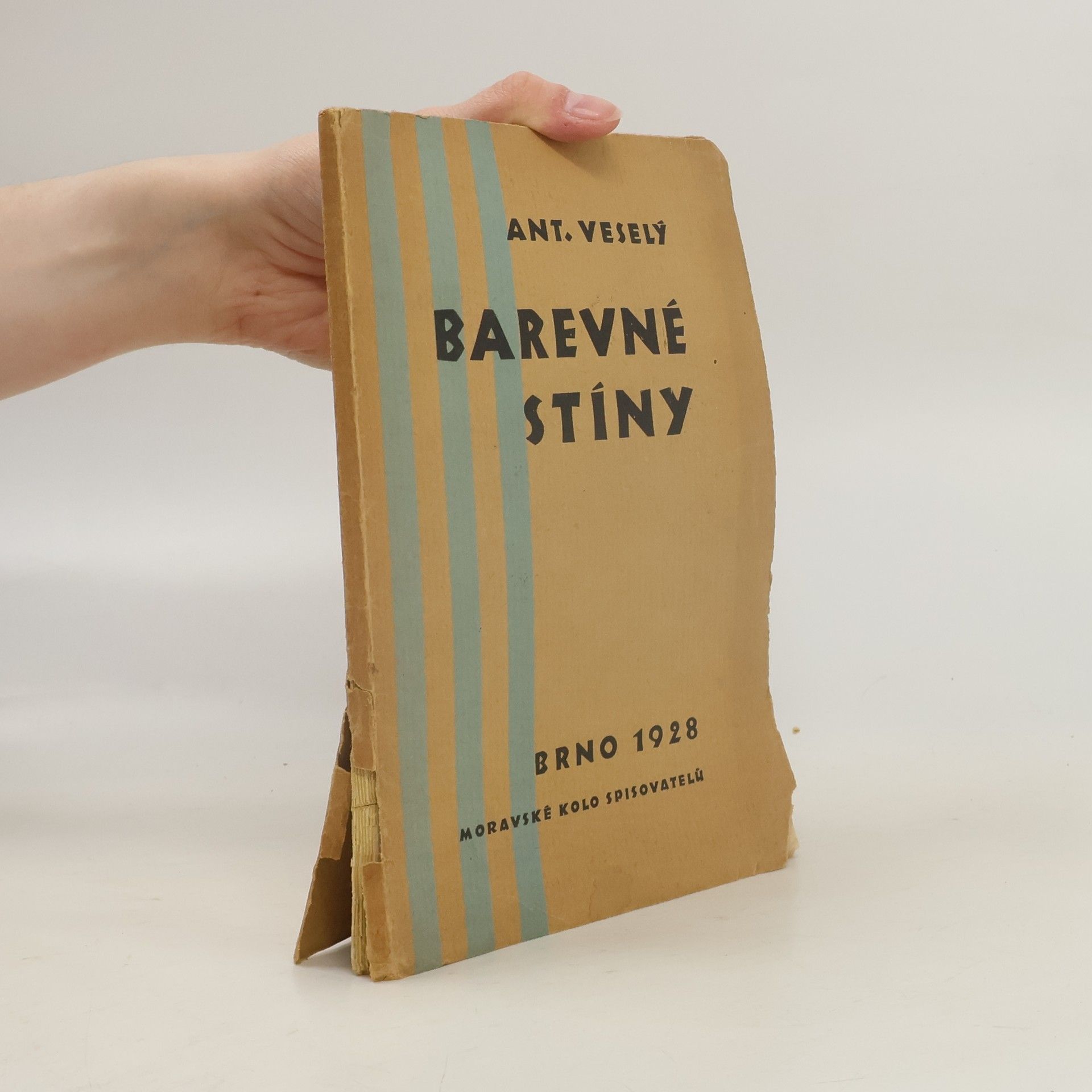 Antonín Veselý Barevné stíny