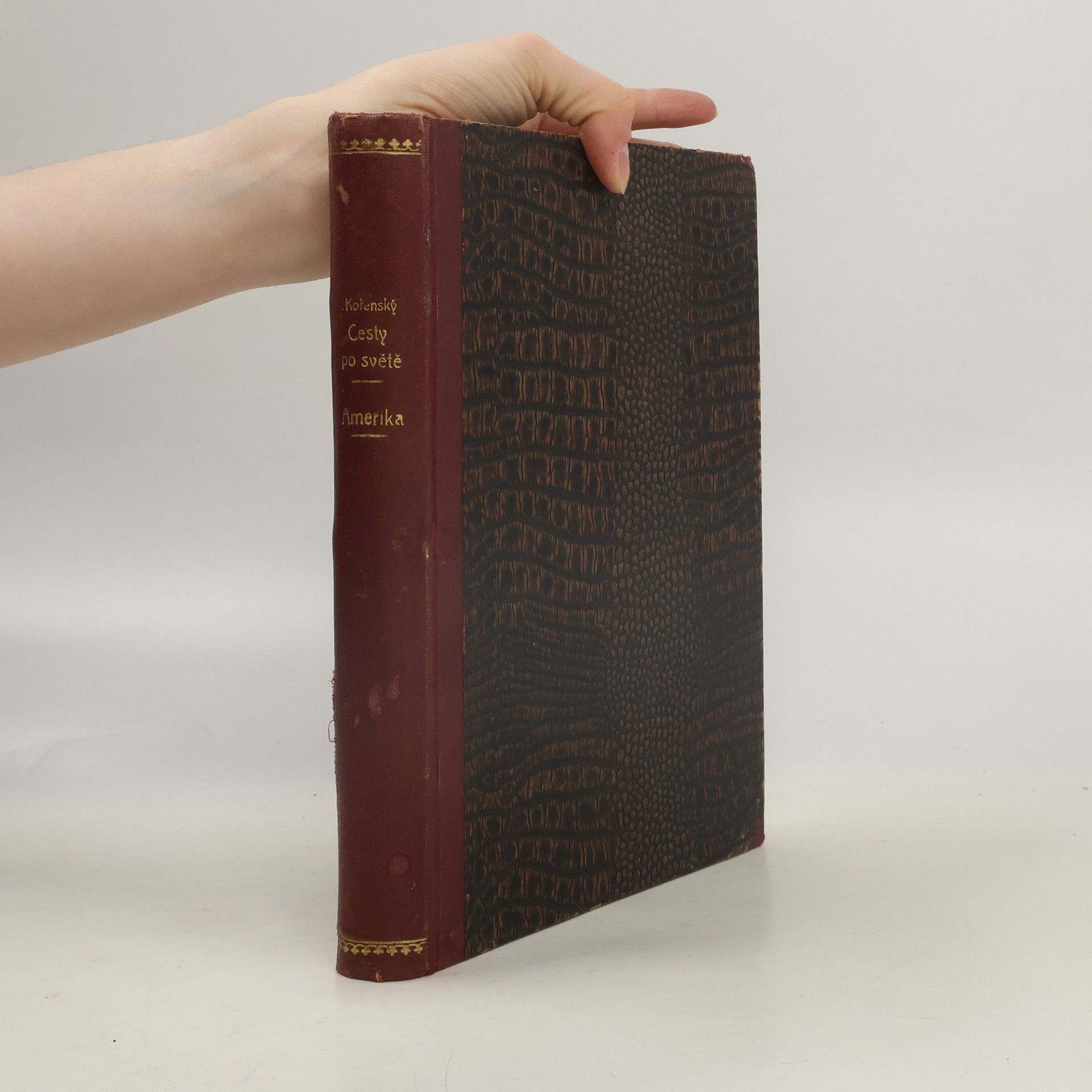 Josef Kořenský Cesty po světě