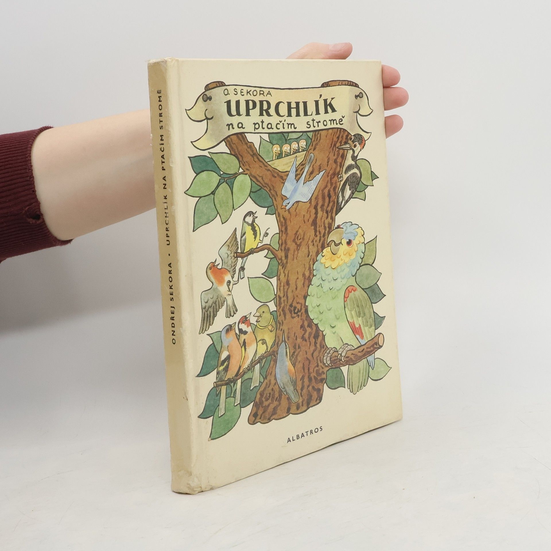 Ondřej J. Sekora Uprchlík na ptačím stromě