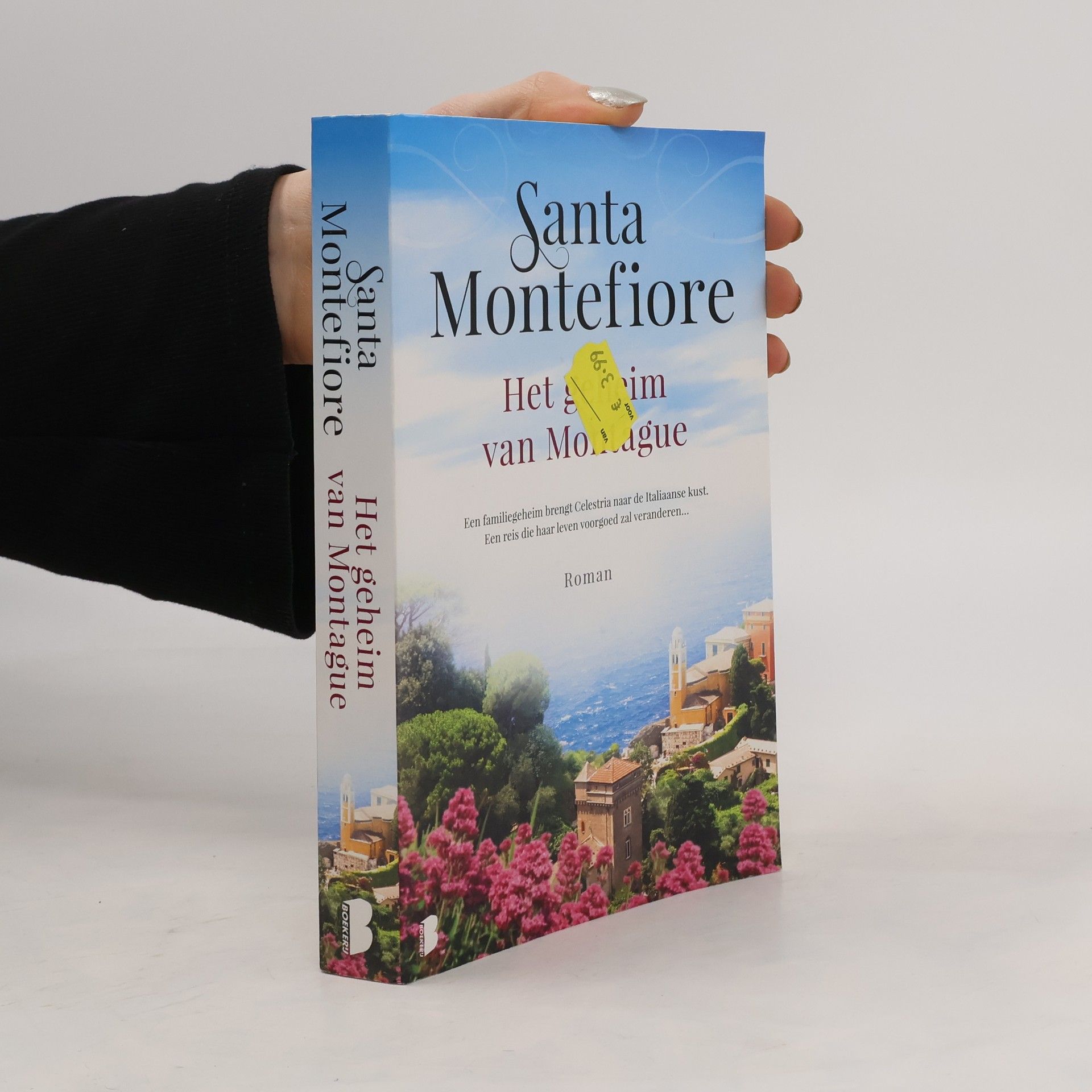 Santa Montefiore Het geheim van Montague