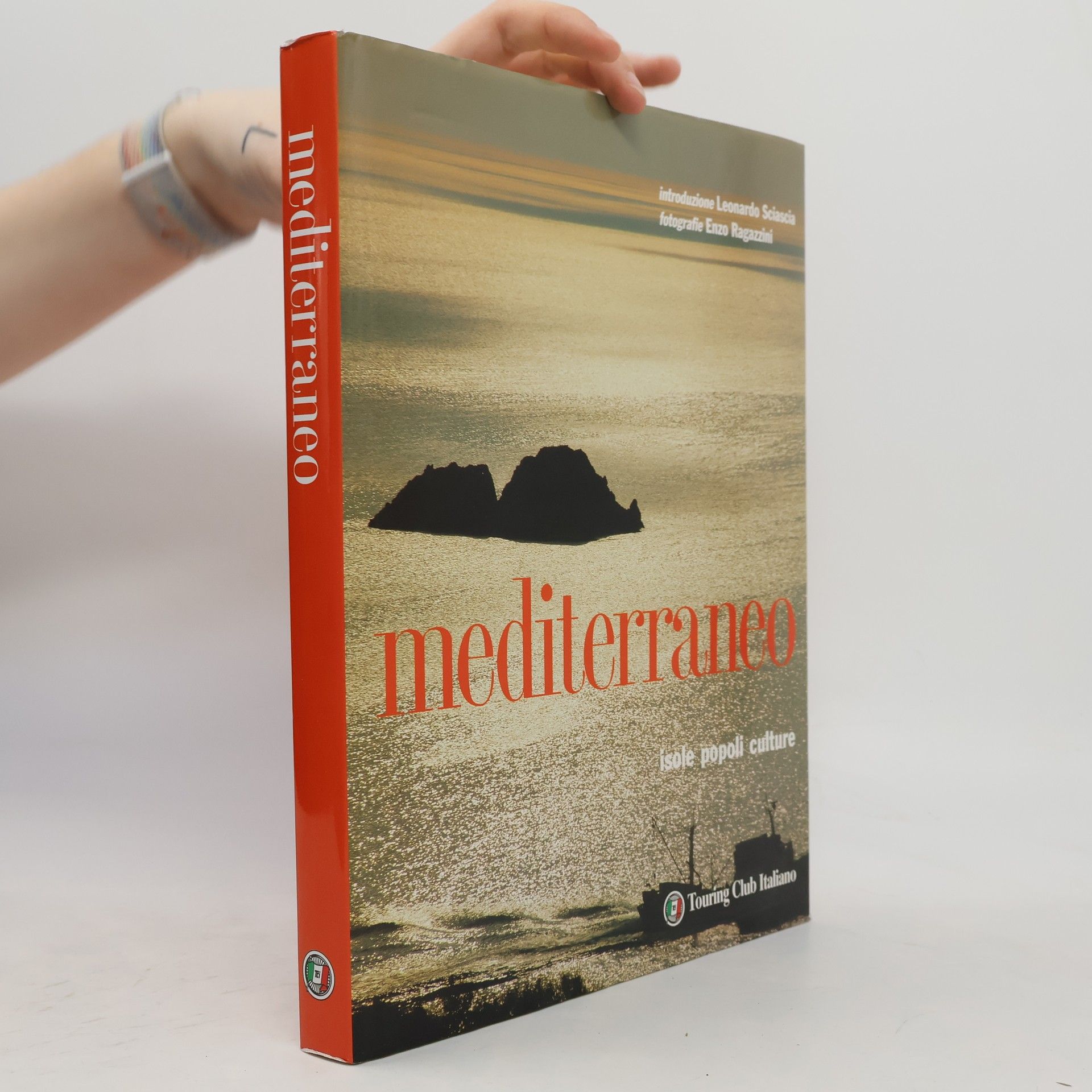 Enzo Ragazzini Mediterraneo