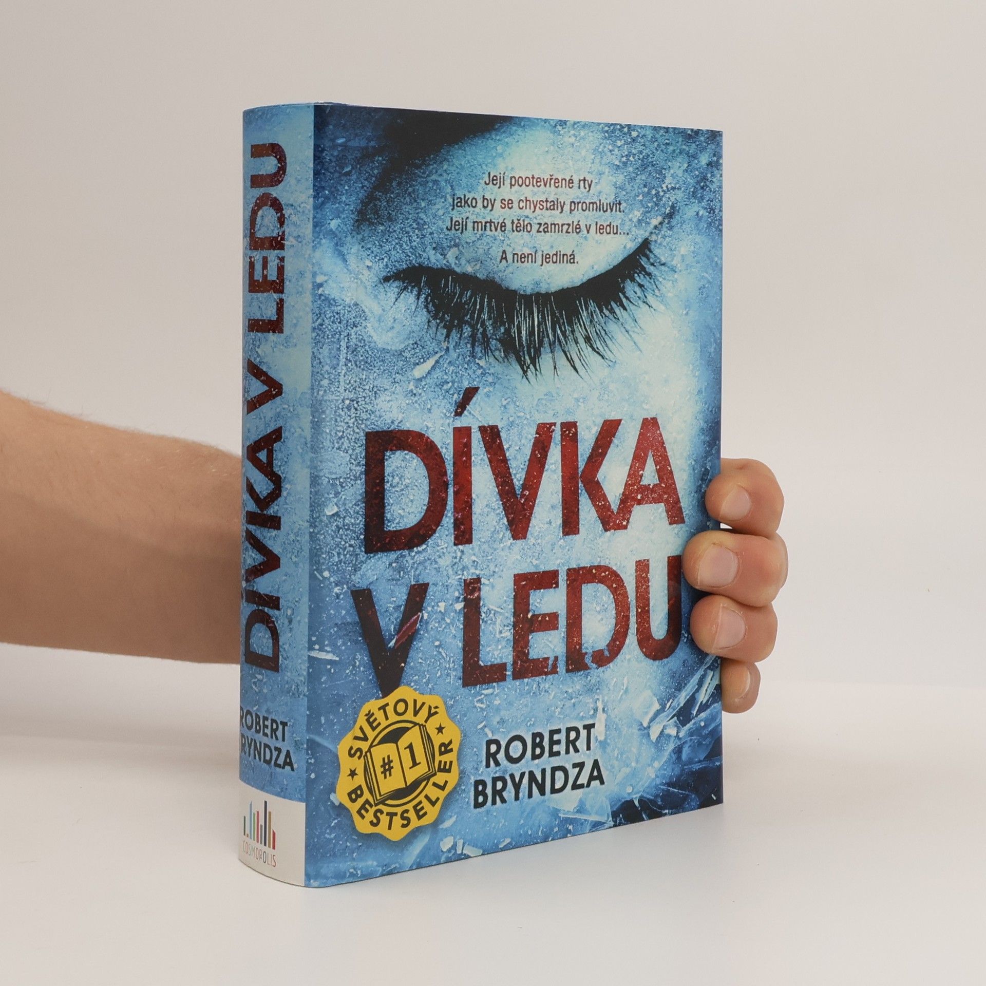 Robert Bryndza Dívka v ledu