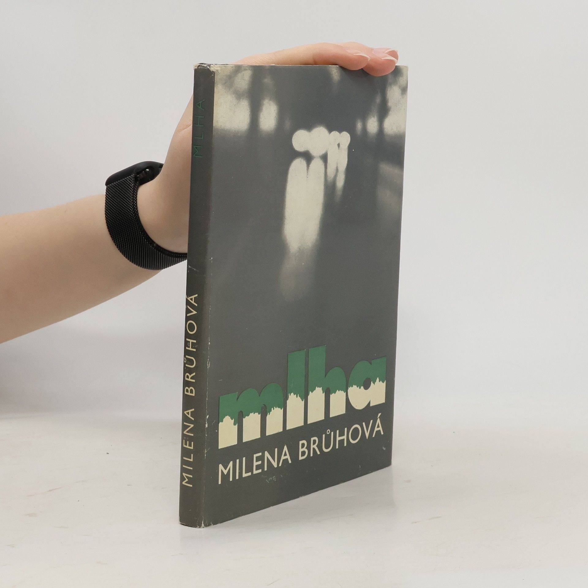 Milena Brůhová Mlha