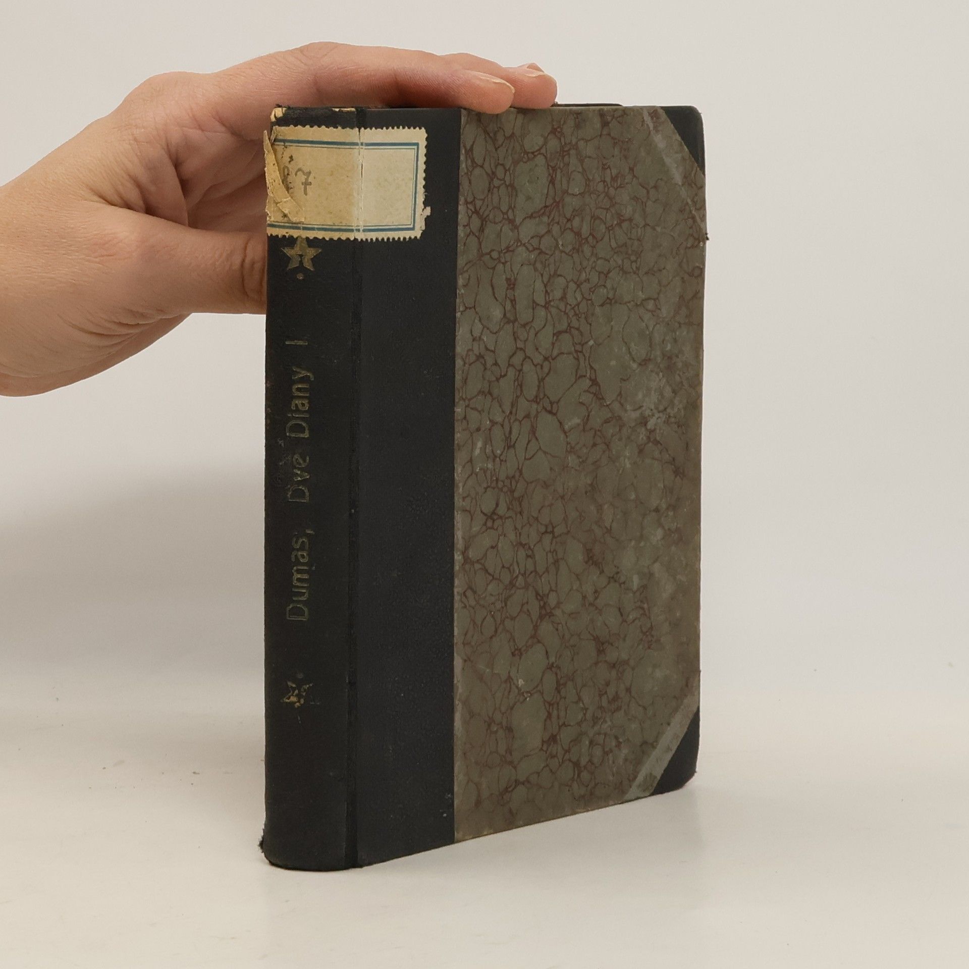 Alexandre Dumas der Ältere Dvě Diany I