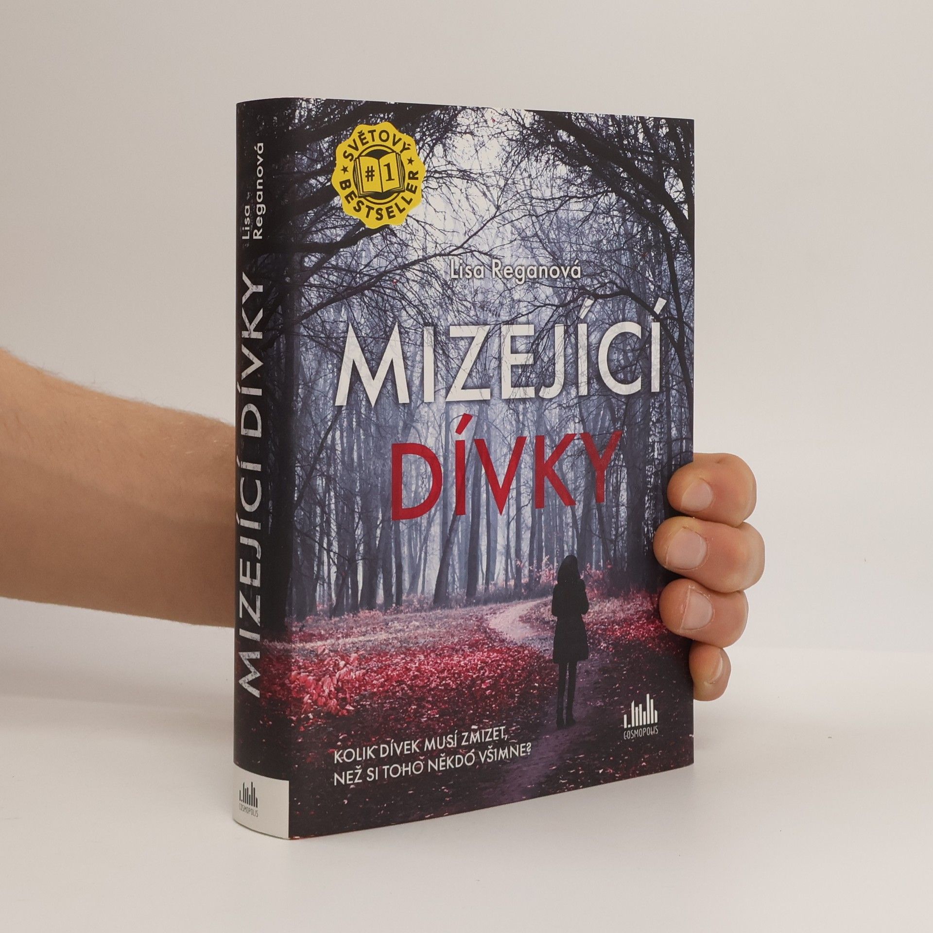 Lisa Regan Mizející dívky