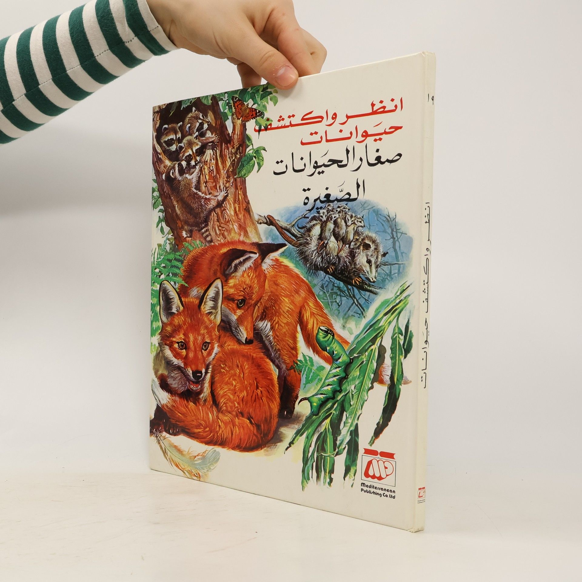 Autorenkollektiv انظر واكتشف حيوانات. صغار الحيوانات الصغيرة