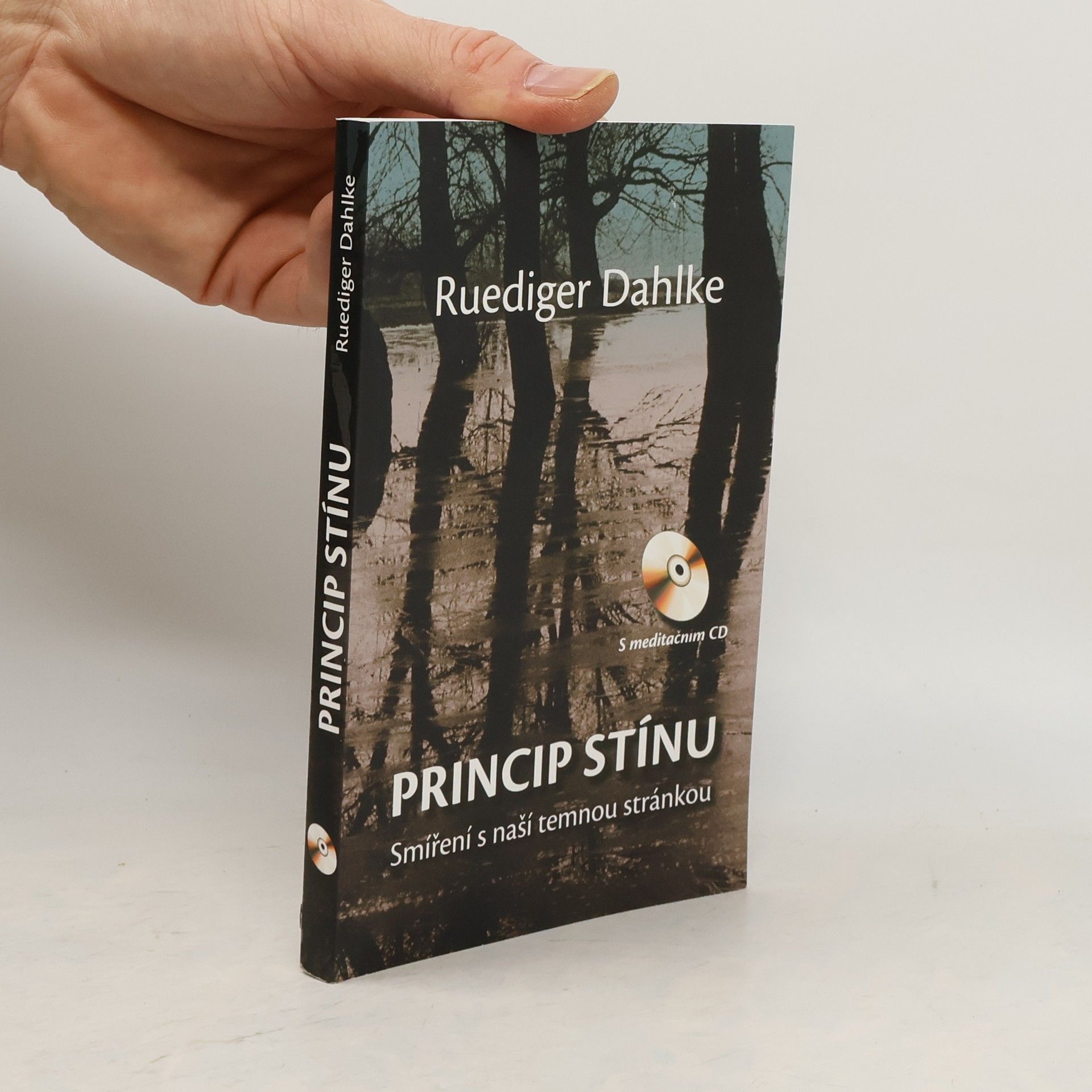 Ruediger Dahlke Princip stínu: Smíření s naší temnou stránkou