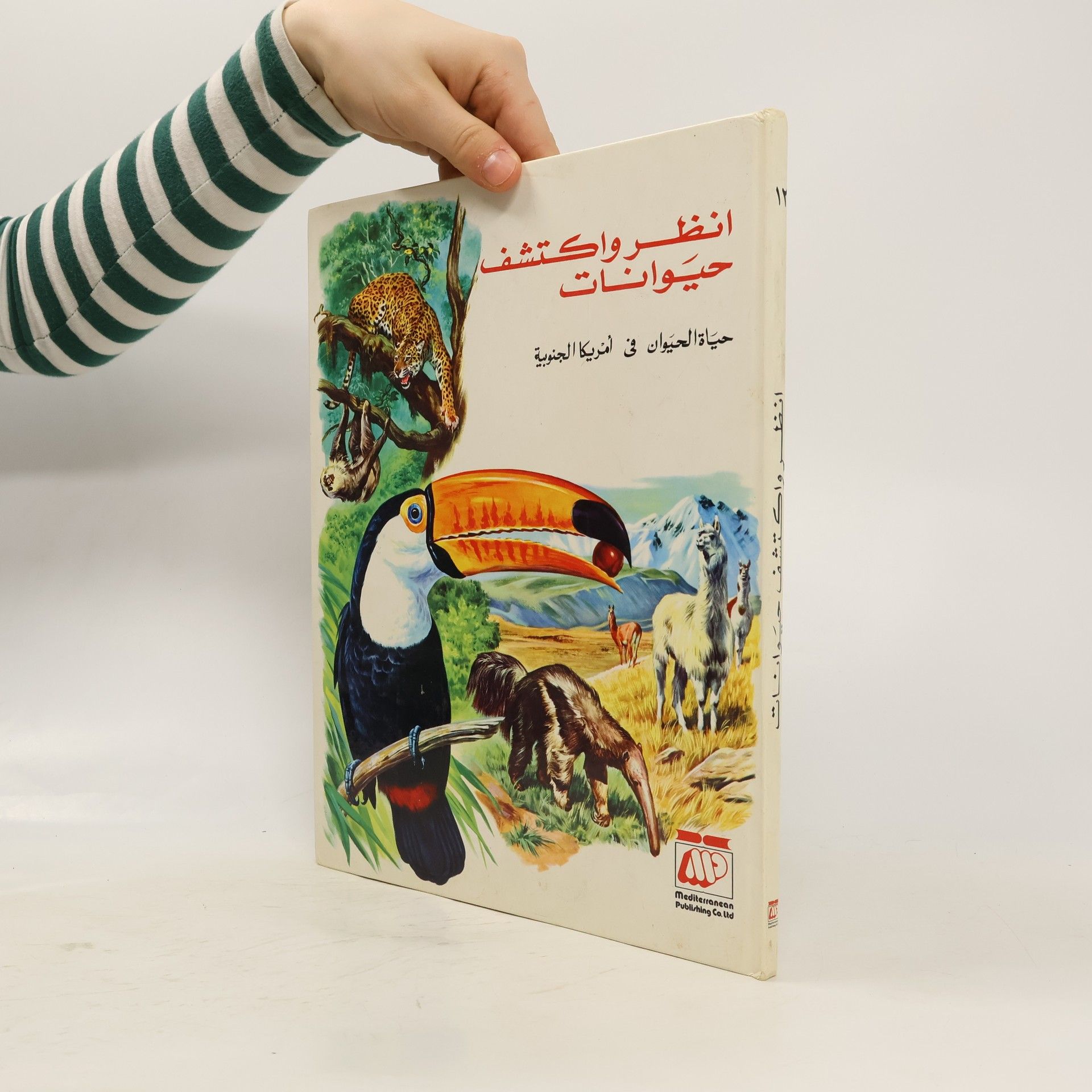 Autorenkollektiv انظر واكتشف حيوانات. حياة الحيوان في أمريكا الجنوبية