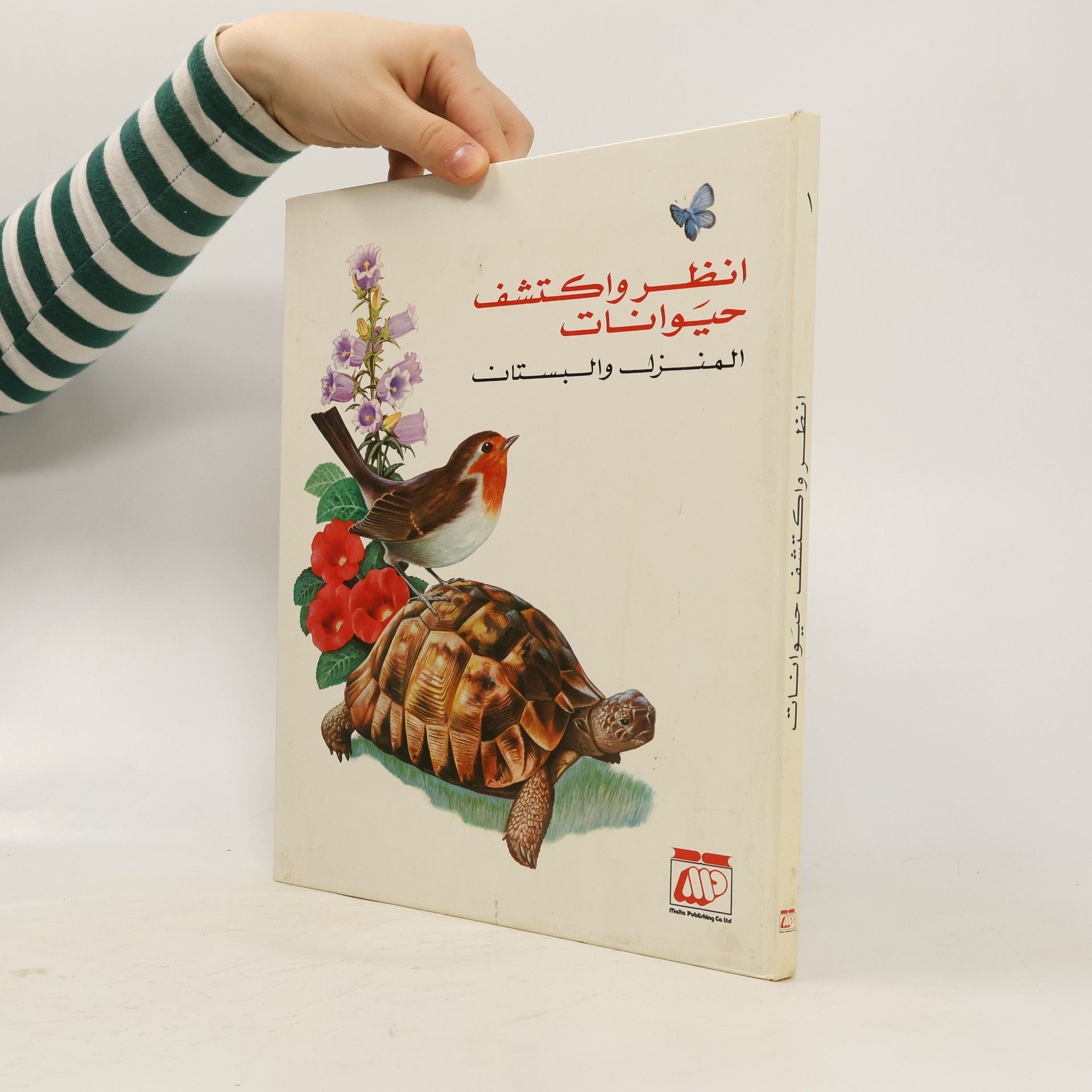 Autorenkollektiv انظر واكتشف حيوانات. المنزل والبستان