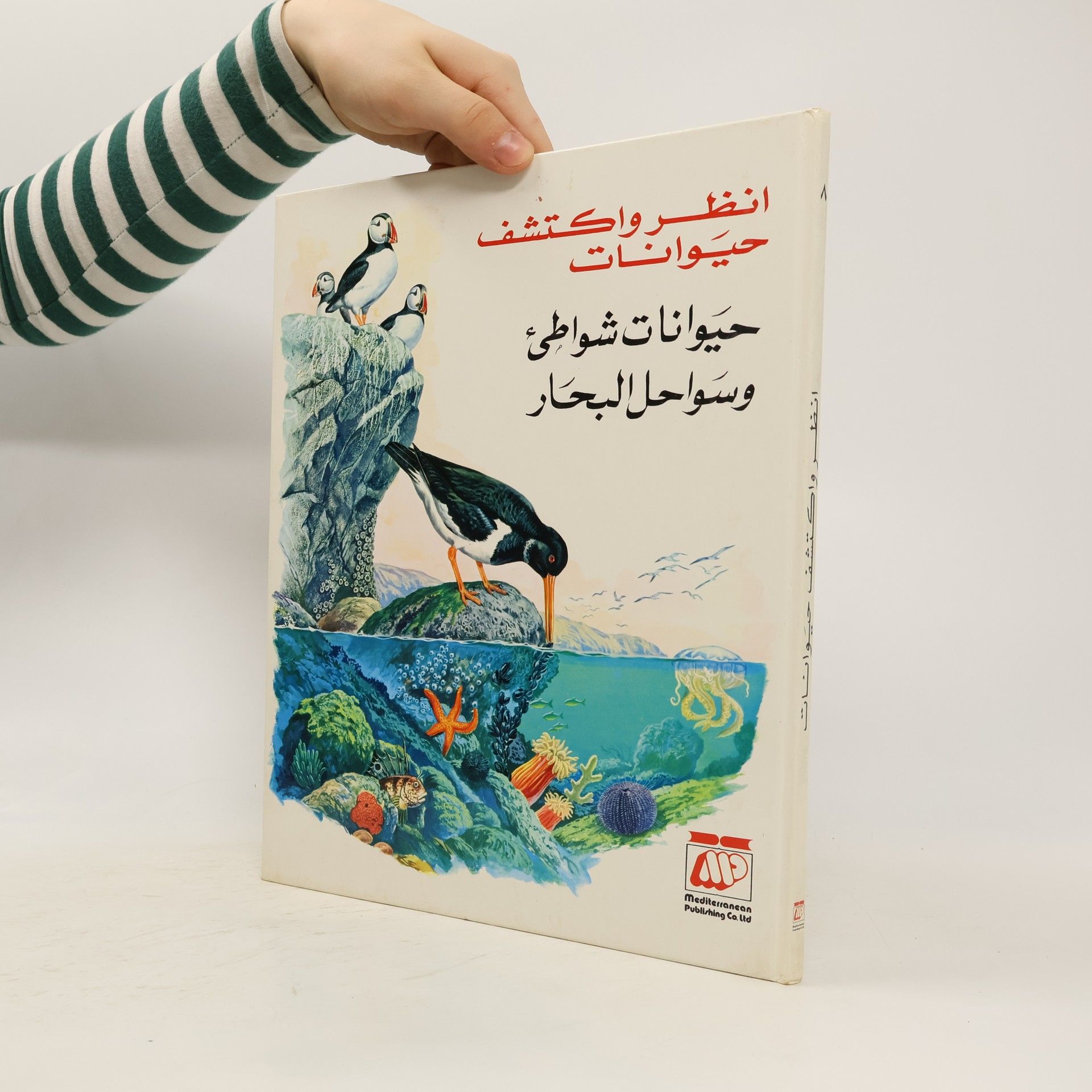 Collectif d'auteurs انظر واكتشف حيوانات حيوانات شواطئ وسواحل البحار. Anzur waktashaf hayawanat hayawanat shawati wasawahil albahaar