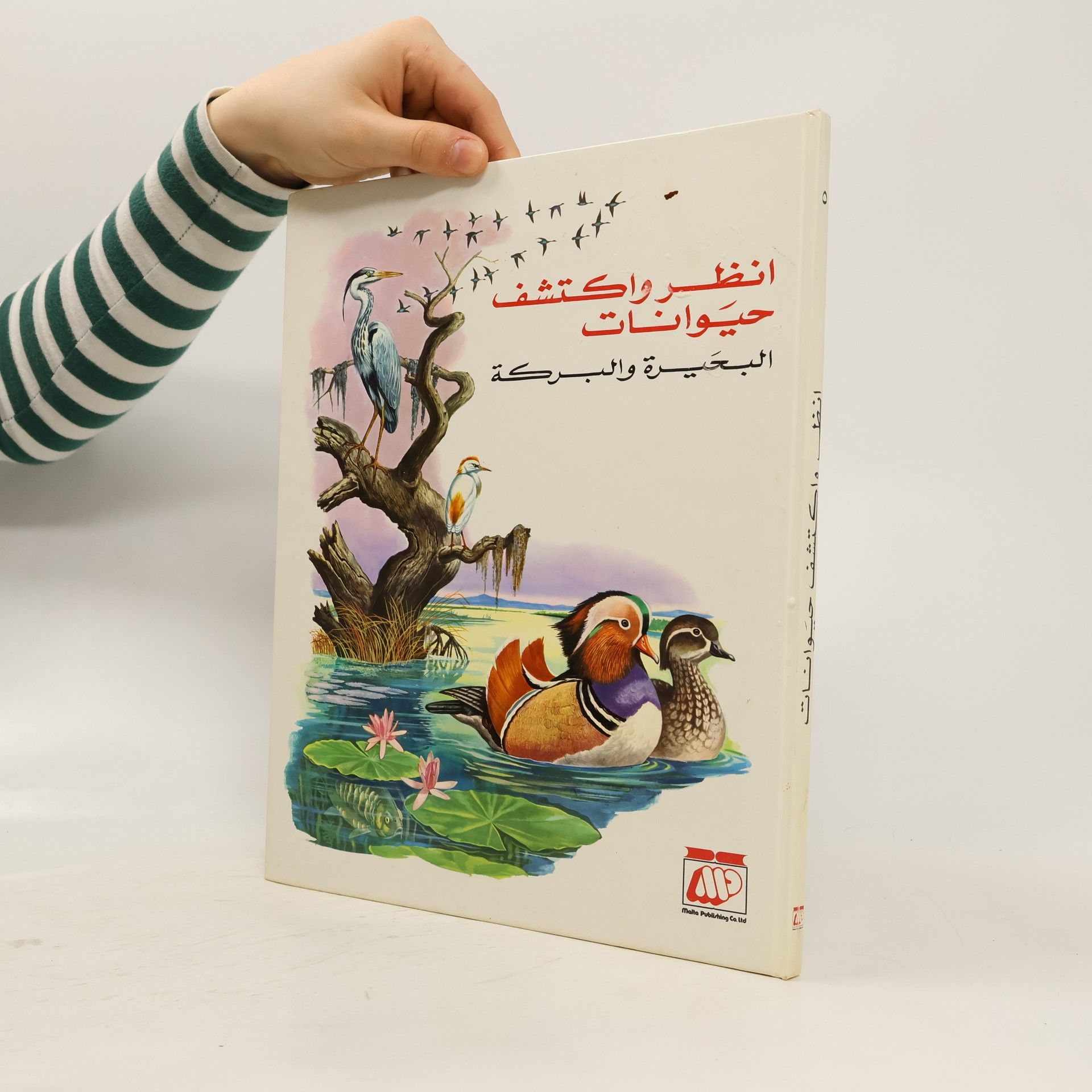 Kolektív autorov انظر واكتشف حيوانات. البحيرة والبركة