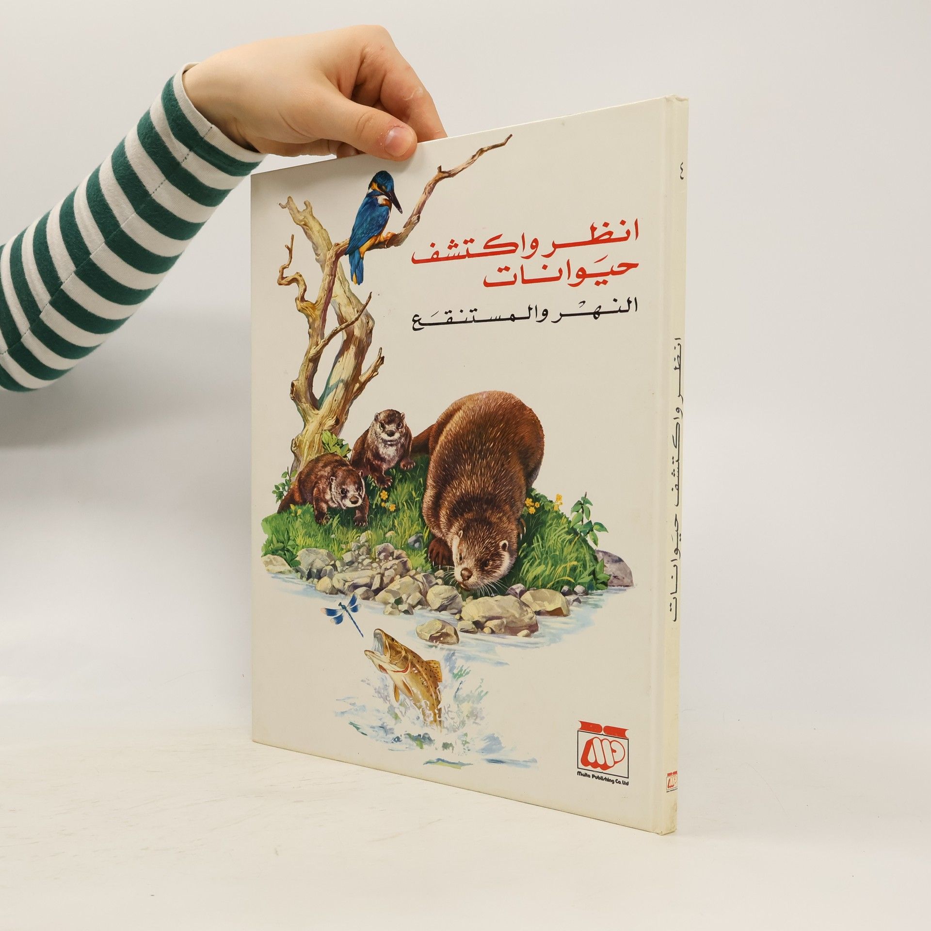 Kolektív autorov انظر واكتشف حيوانات. النهر والمستنقع