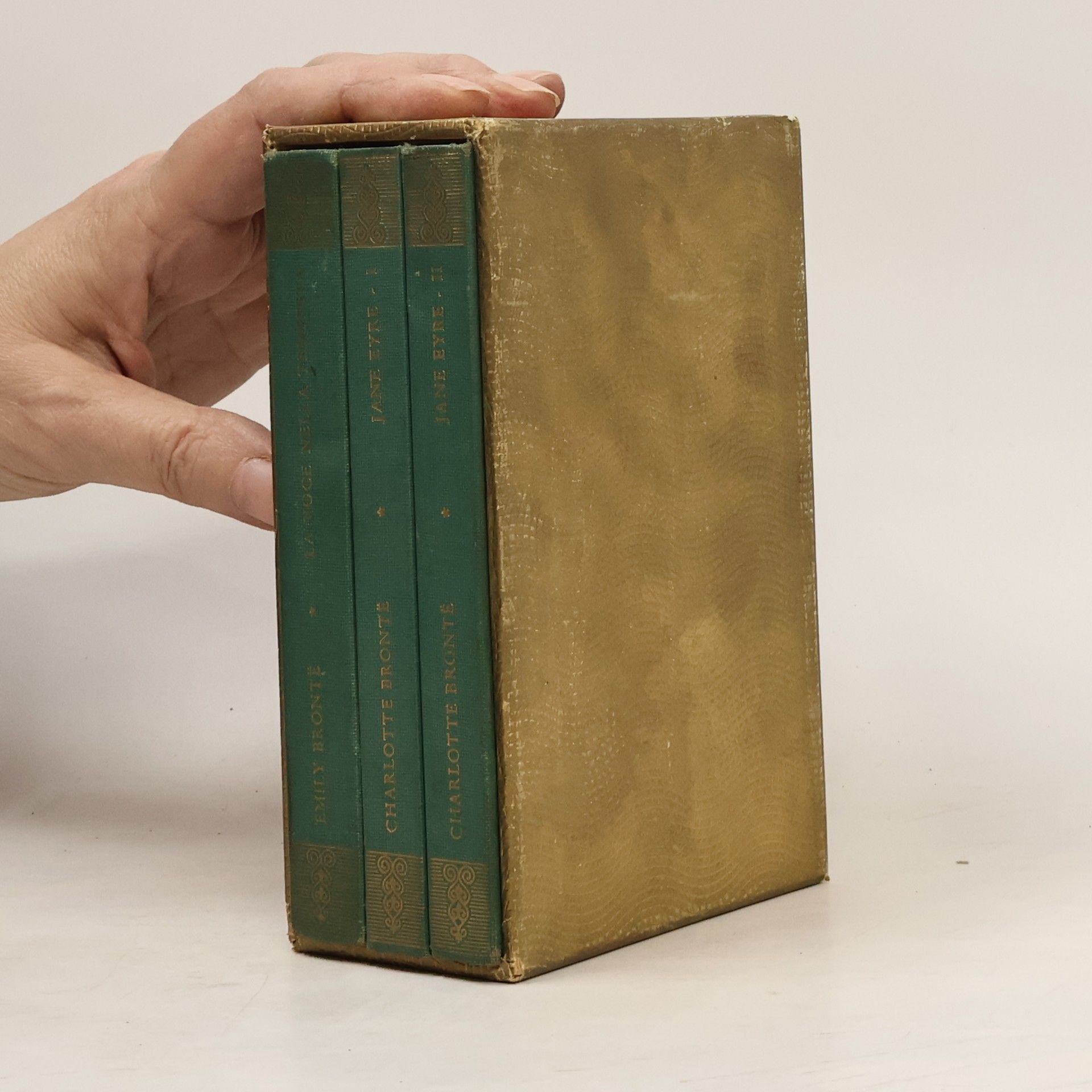 Emily Brontë La voce nella tempesta. Jane Eyre 1-2