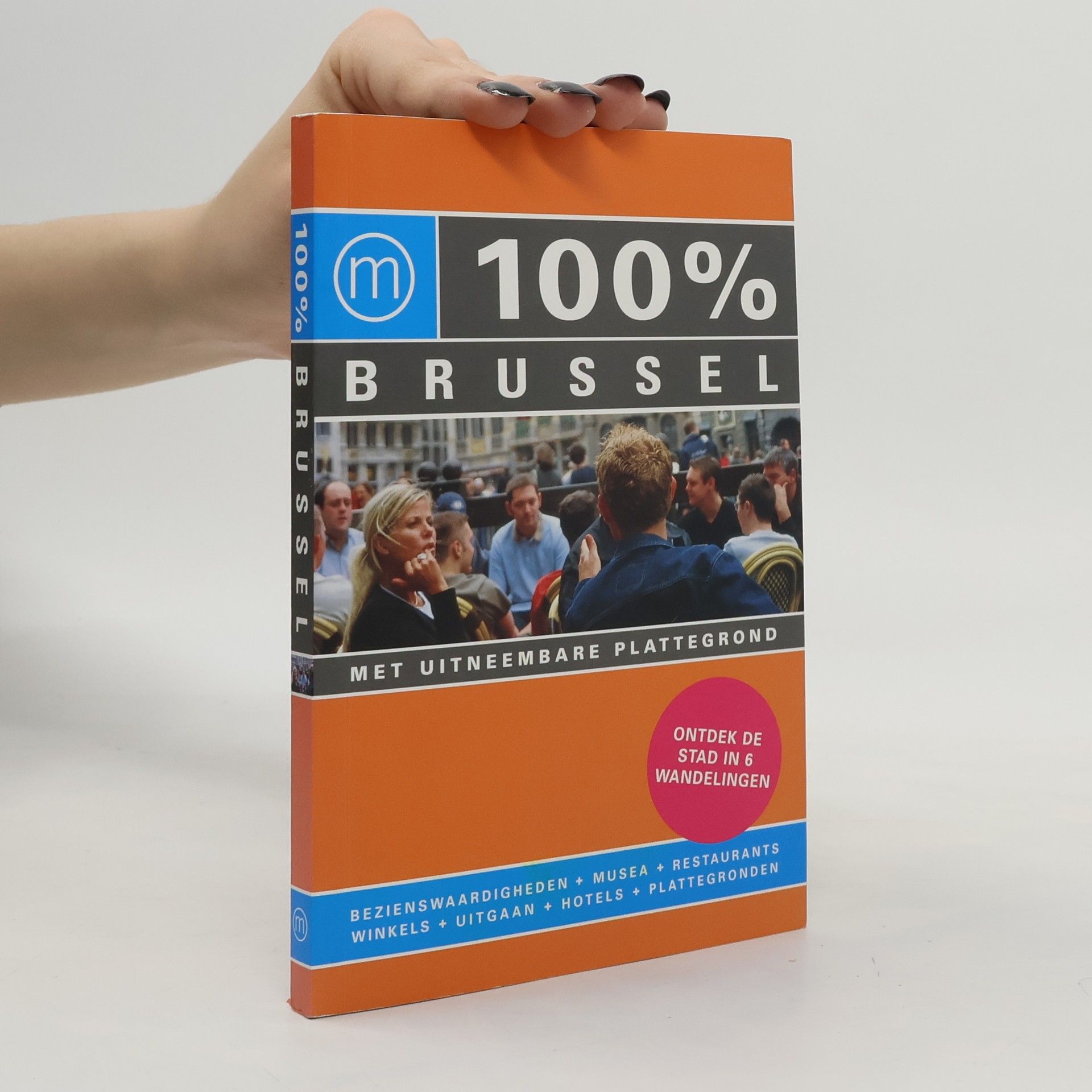Pieter-Bas van Wiechen 100% reisgidsen: 100% Brussel - druk 6