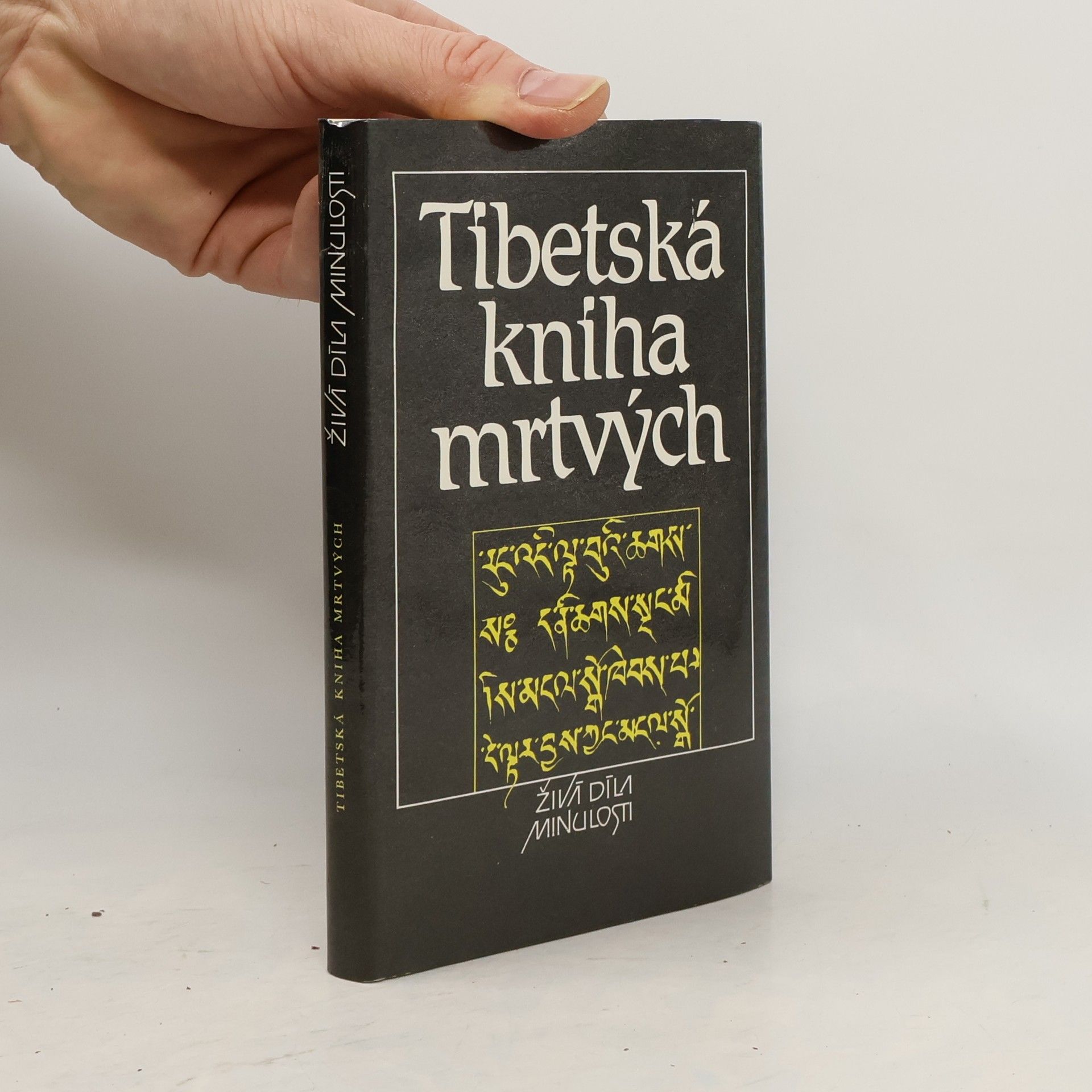 Autorenkollektiv Tibetská kniha mrtvých
