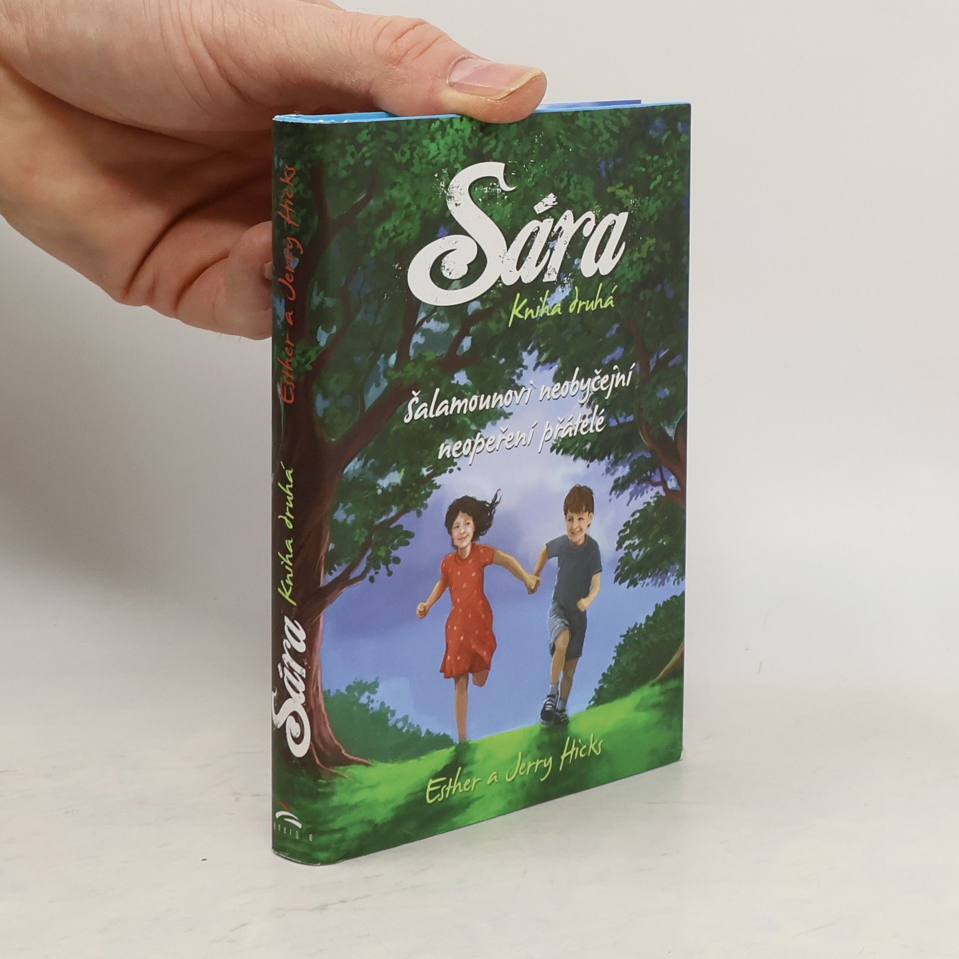 Esther Hicks Sára. Kniha druhá, Šalamounovi neobyčejní neopeření přátelé