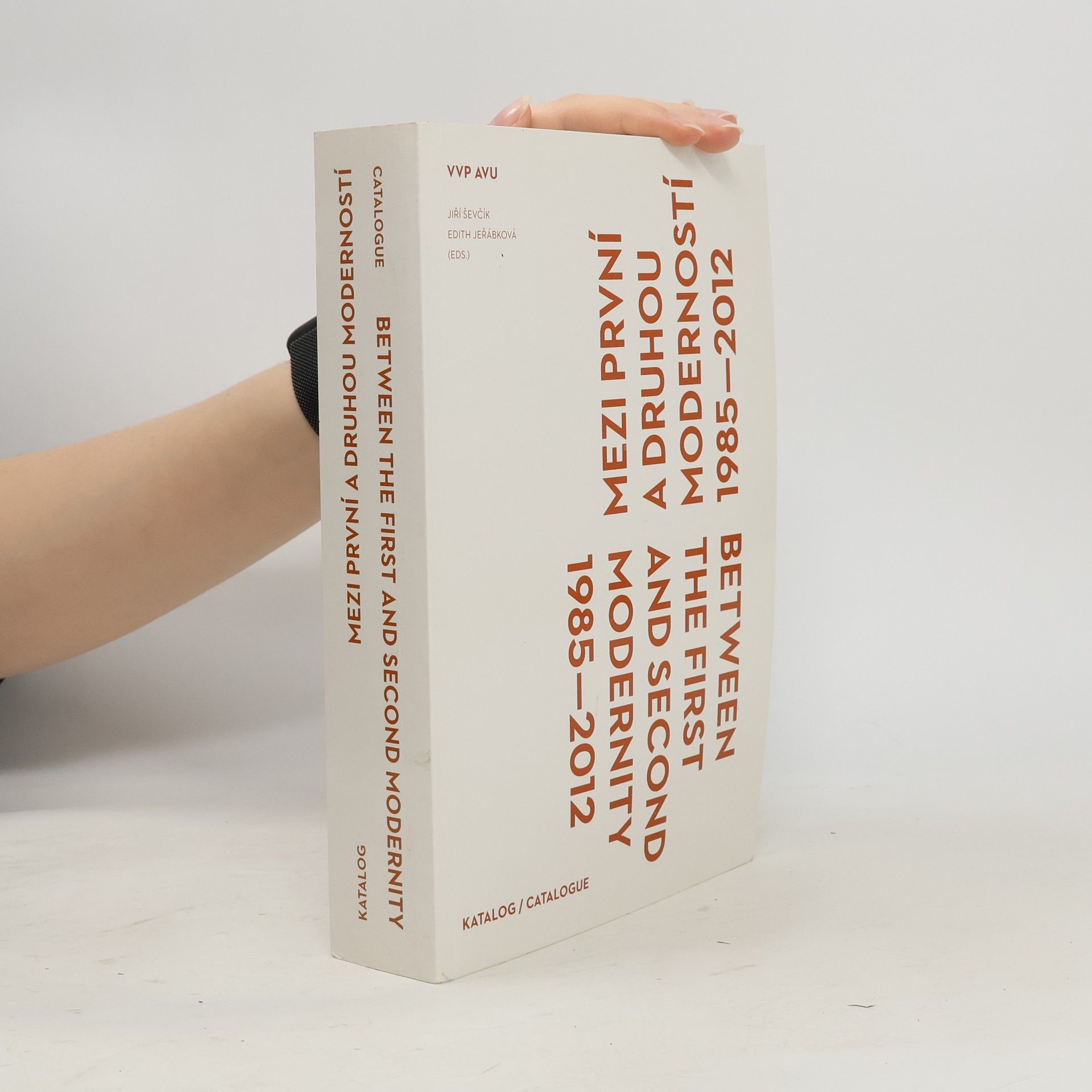 Jiří Ševčík Mezi první a druhou moderností 1985-2012