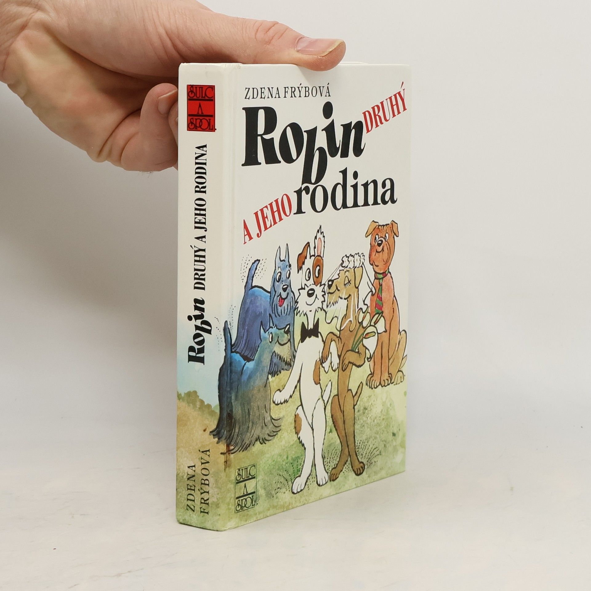 Robin Druhý a jeho rodina