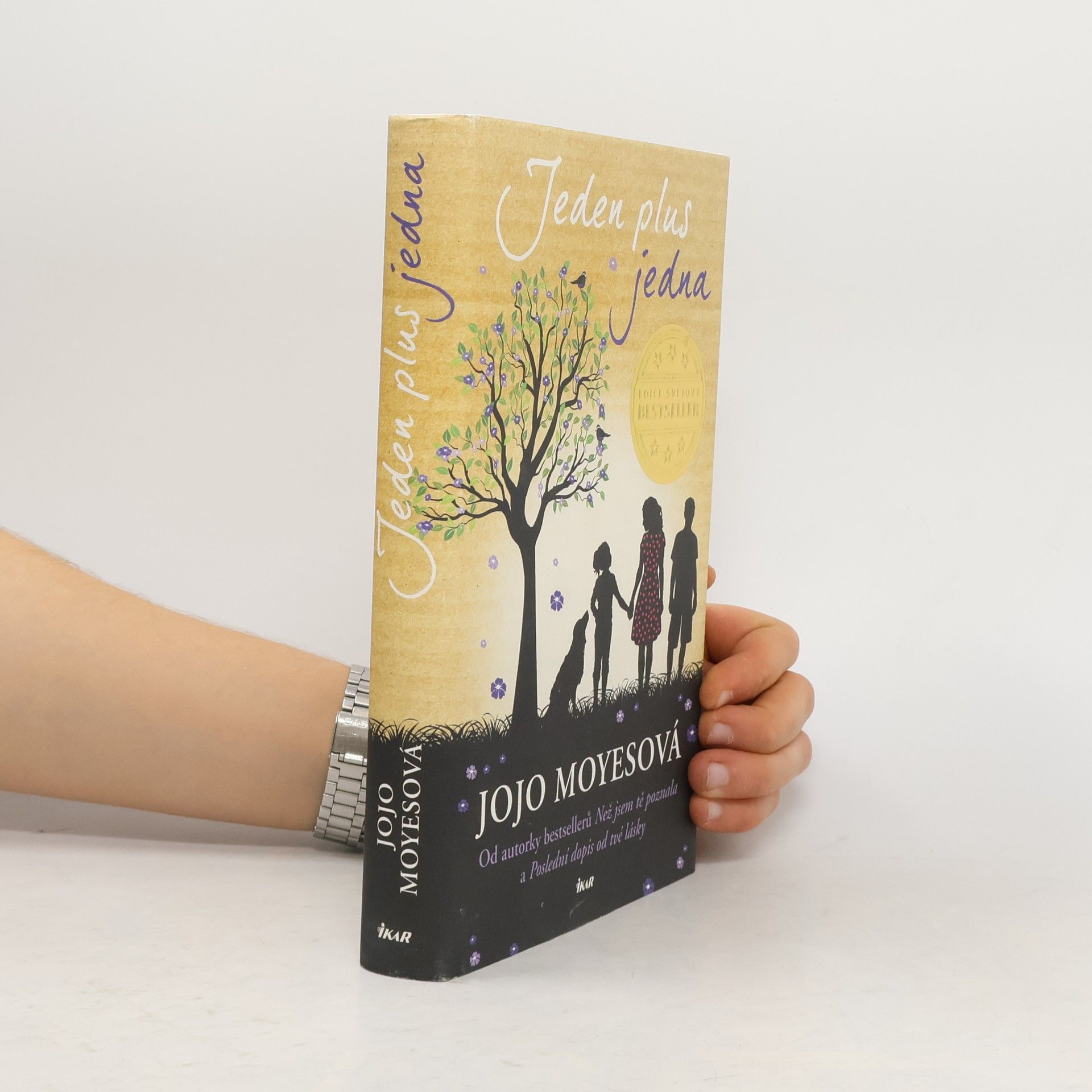 Jojo Moyes Jeden plus jedna