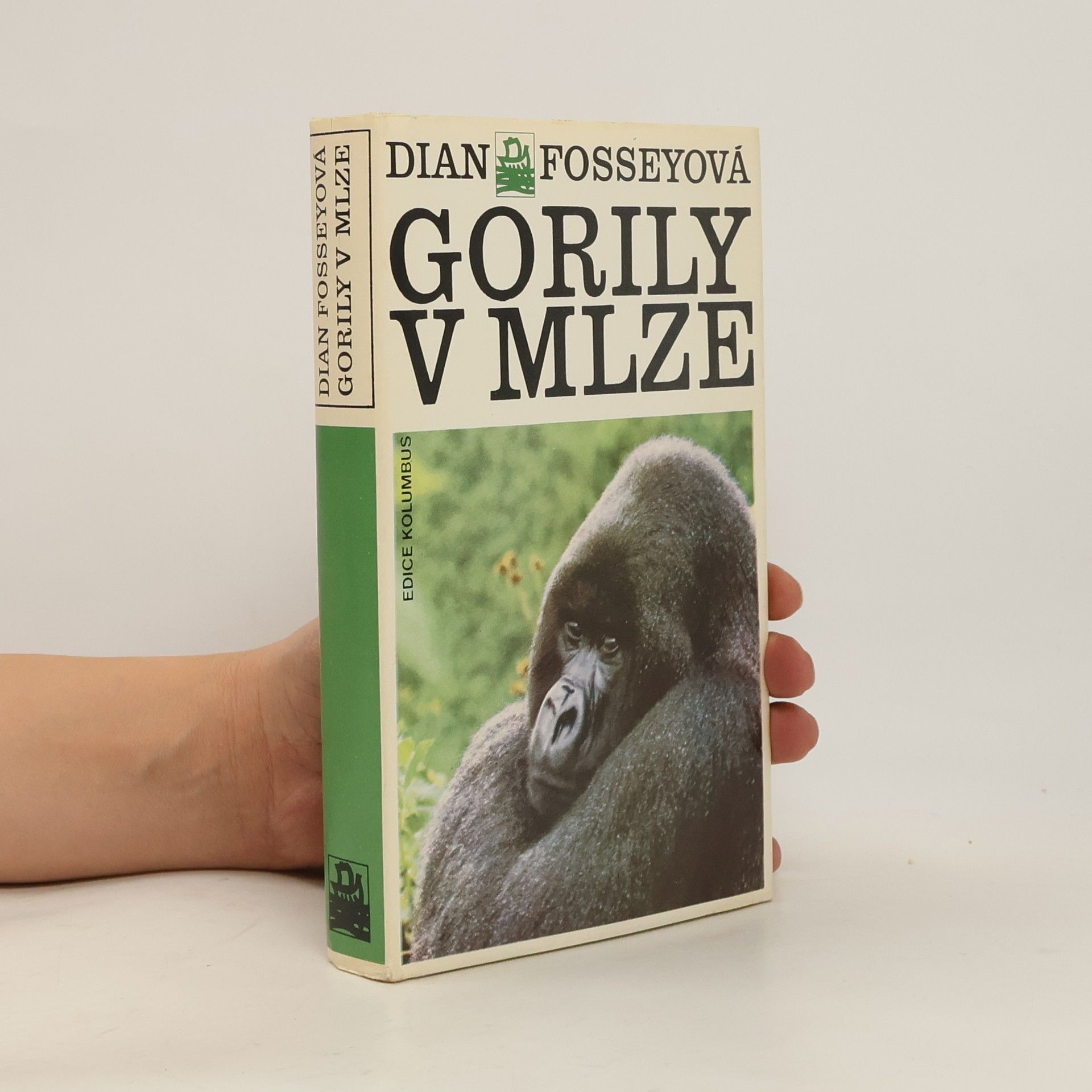 Dian Fossey Gorily v mlze