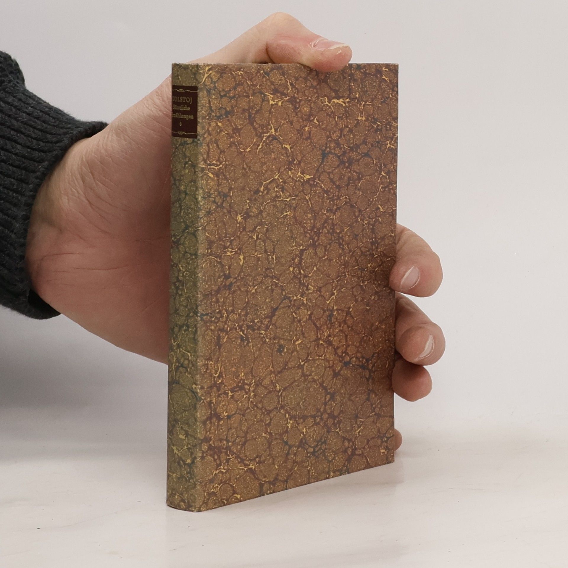 Lew Nikolajewitsch Tolstoi Sämtliche Erzählungen 6