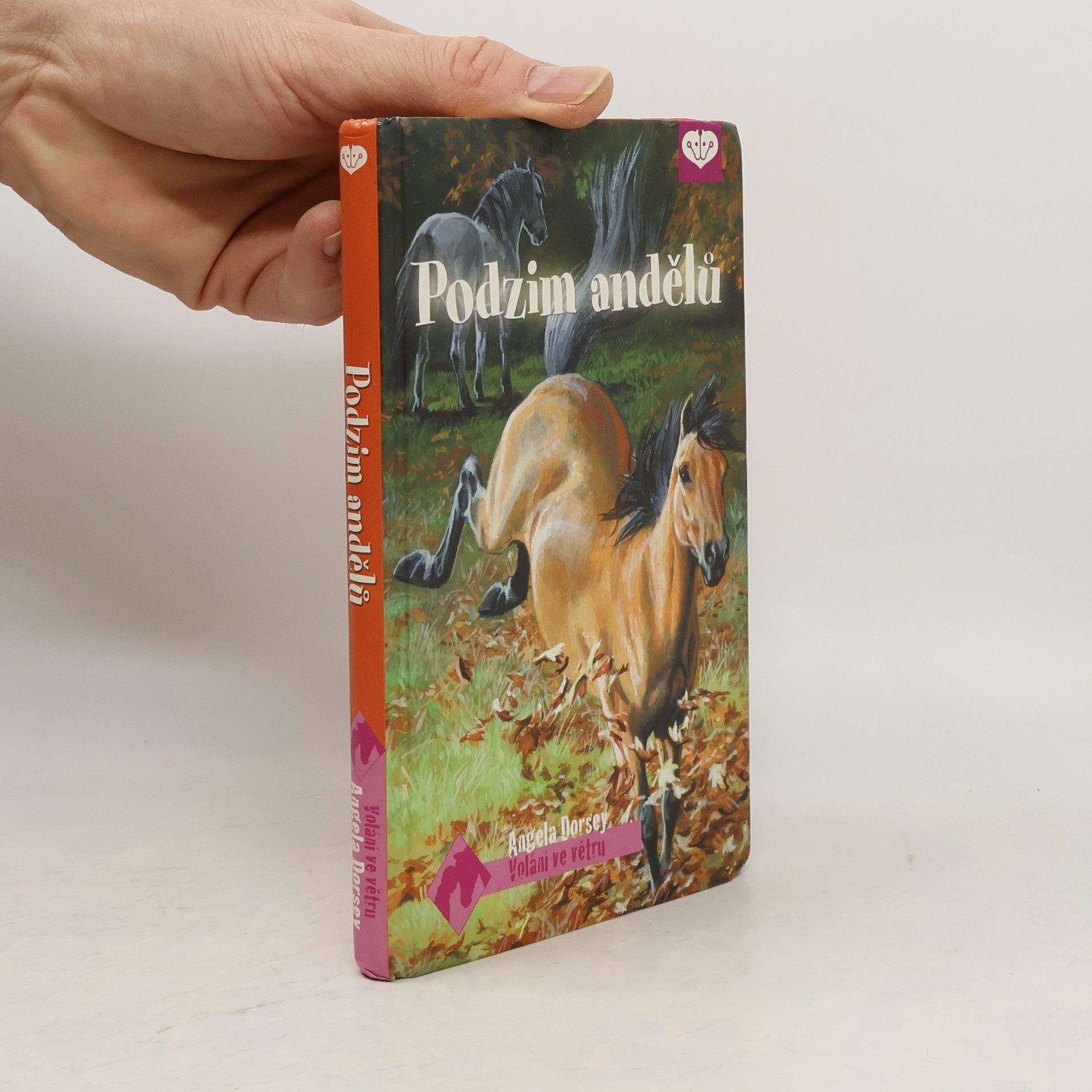 Angela Dorsey Podzim andělů