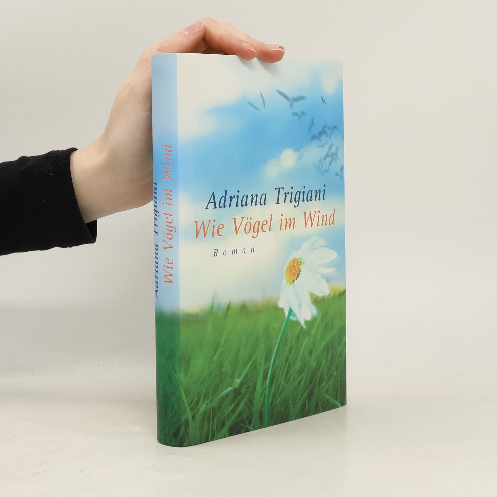 Adriana Trigiani Wie Vögel im Wind