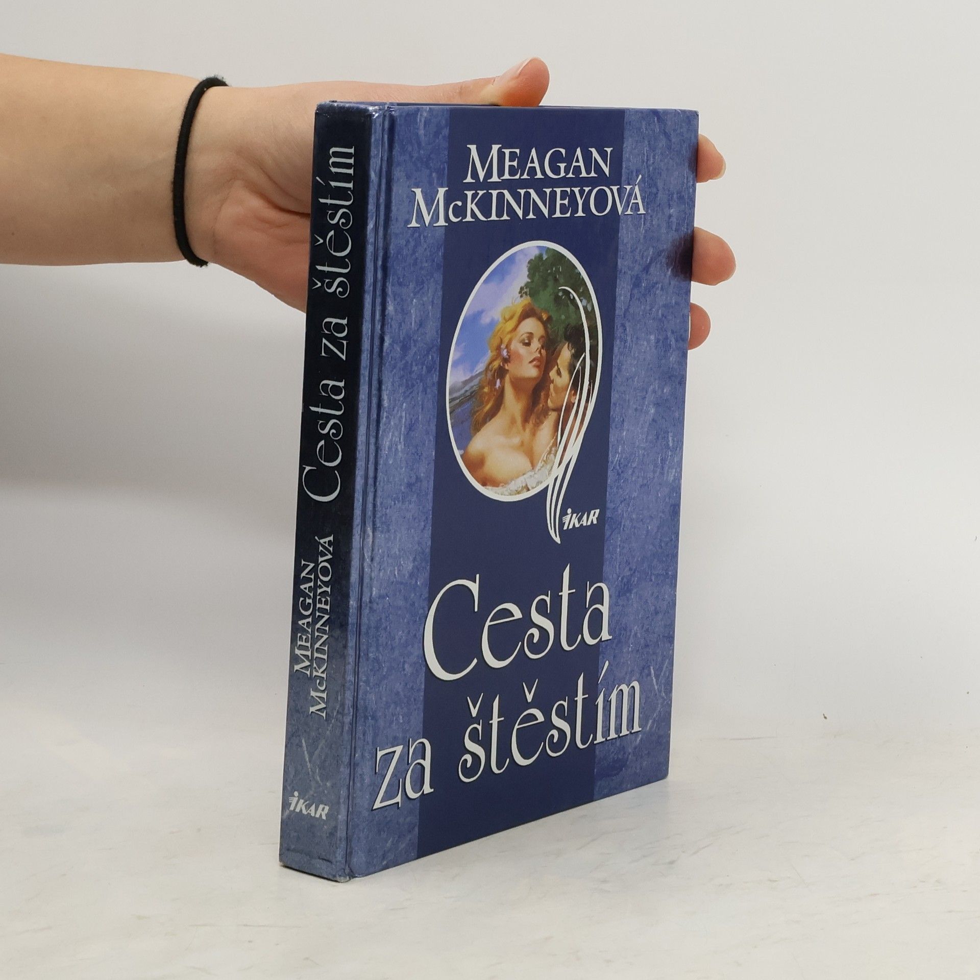 Meagan McKinney Cesta za štěstím