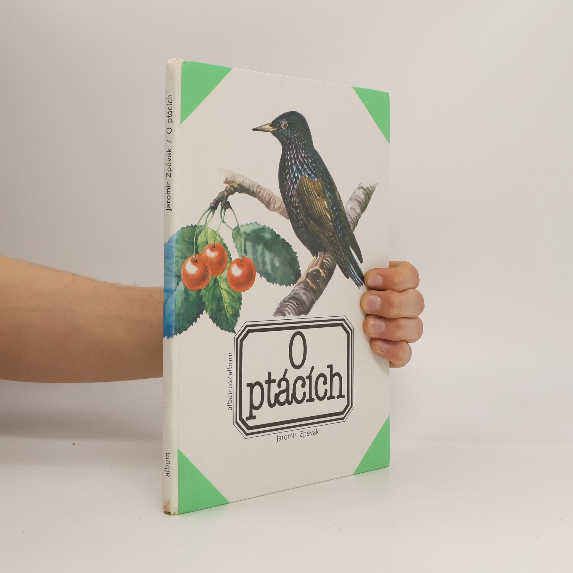 Jaromír Zpěvák O ptácích