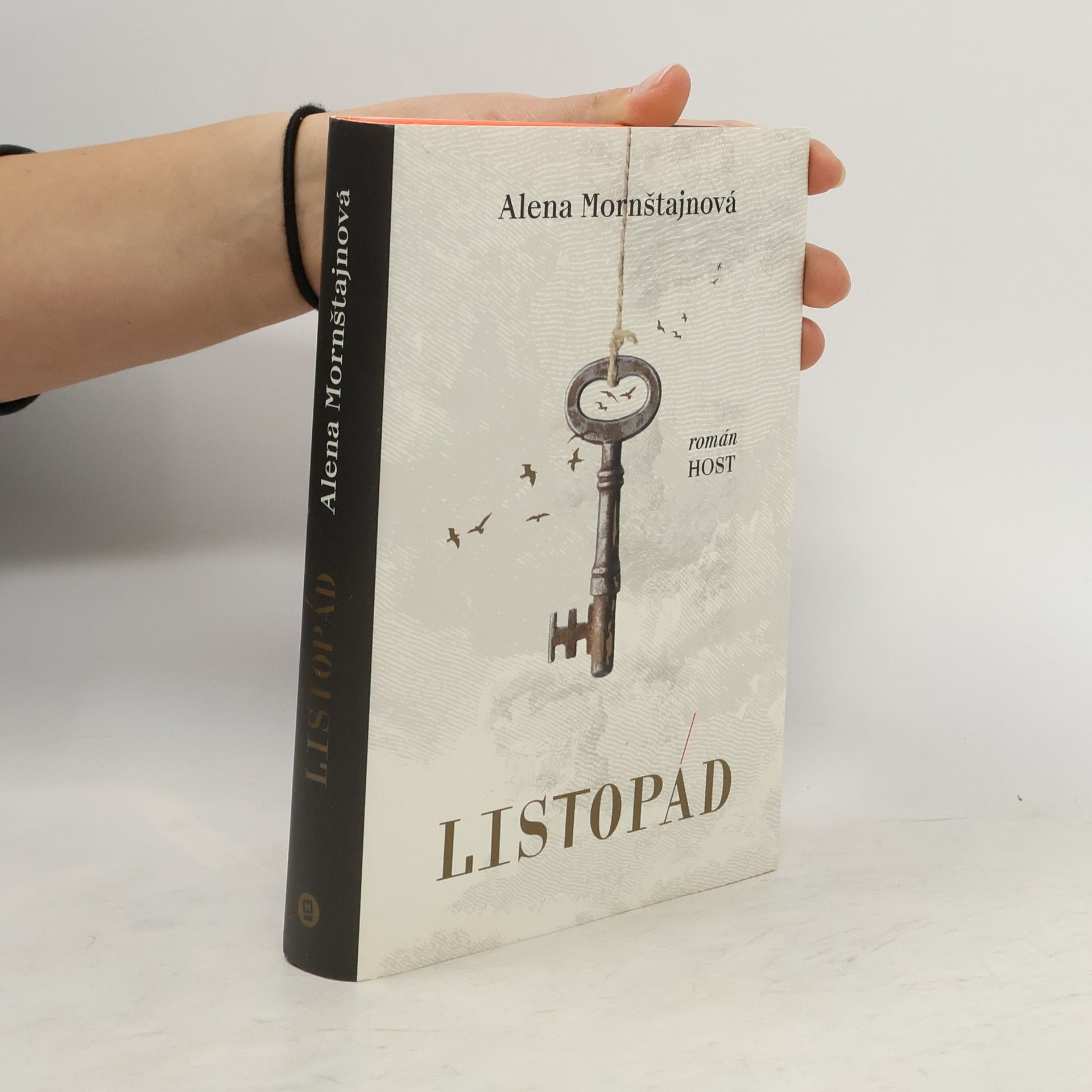 Alena Mornštajnová Listopád