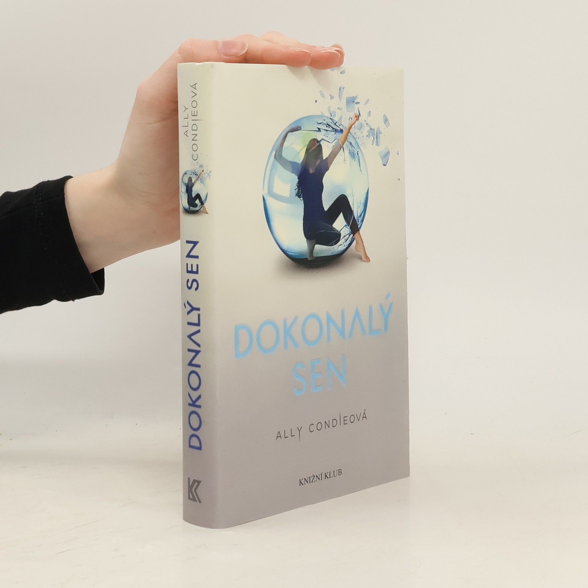 Allyson Braithwaite Condie Dokonalý sen