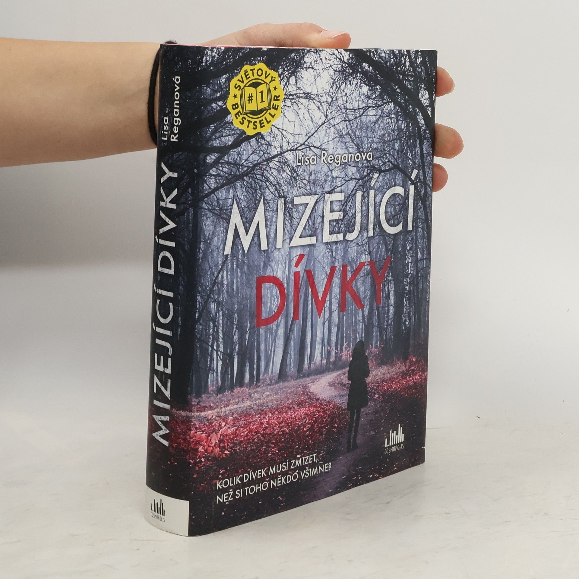 Lisa Regan Mizející dívky