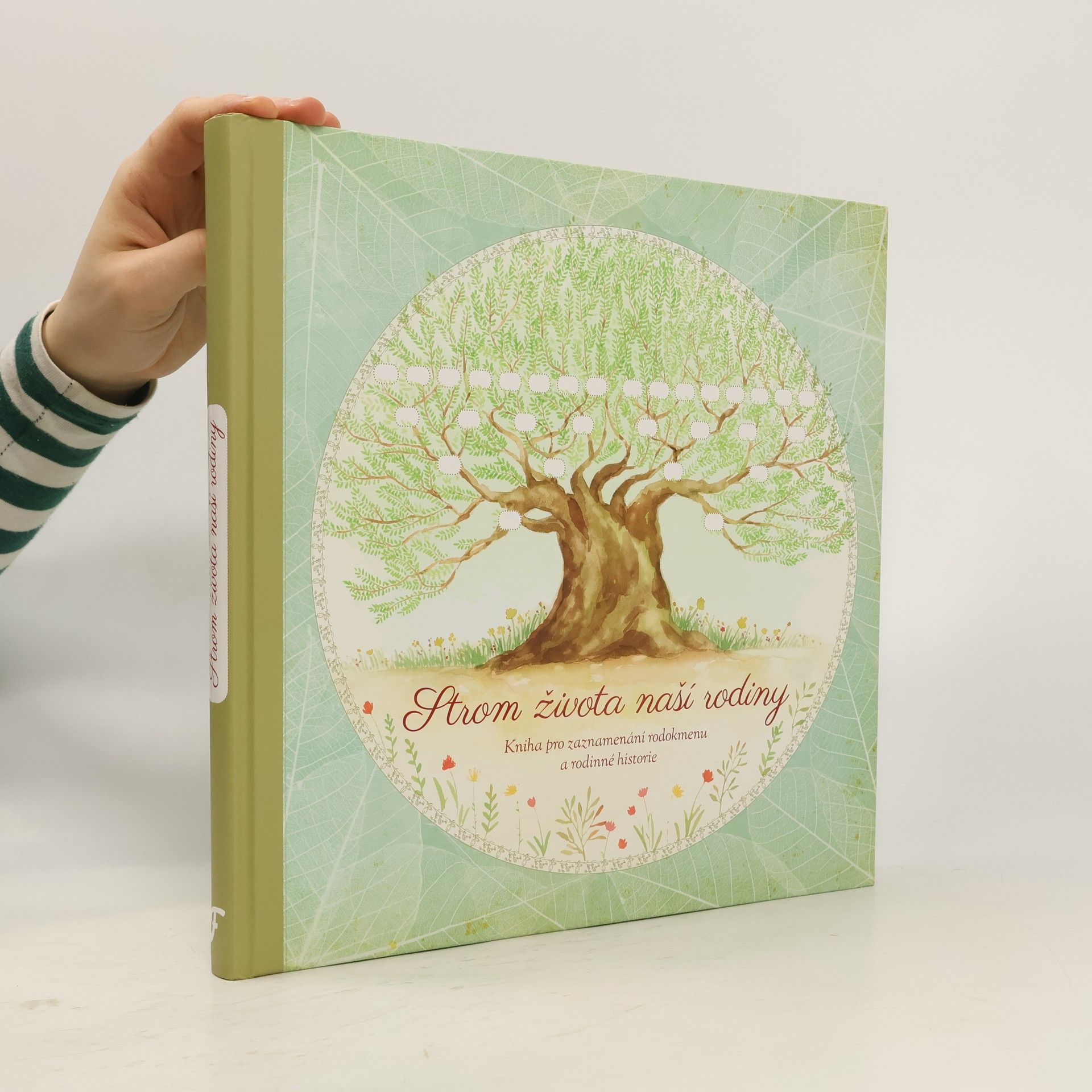 Monika Kopřivová Strom života naší rodiny