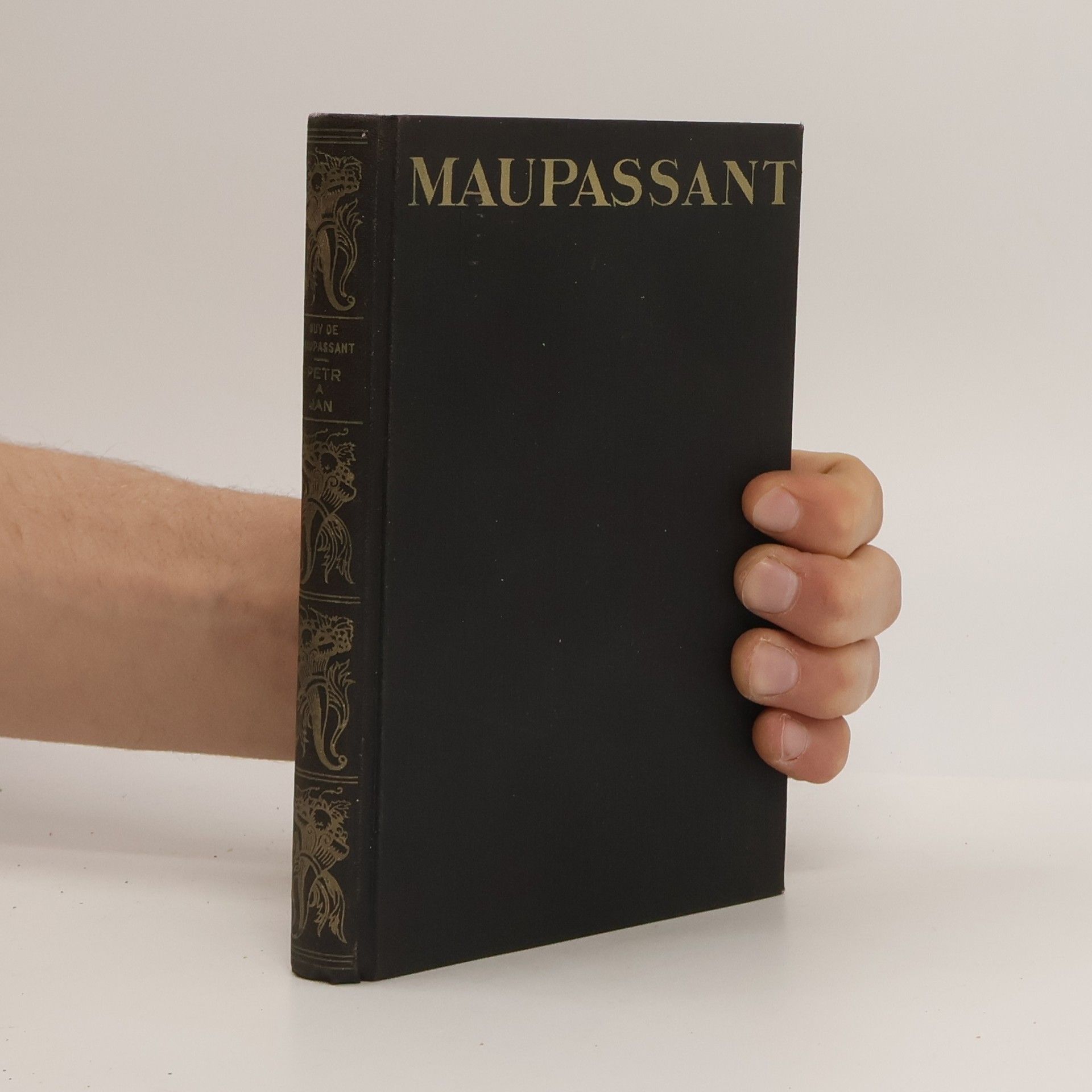 Guy de Maupassant Petr a Jan. Salon paní Tellierové II.