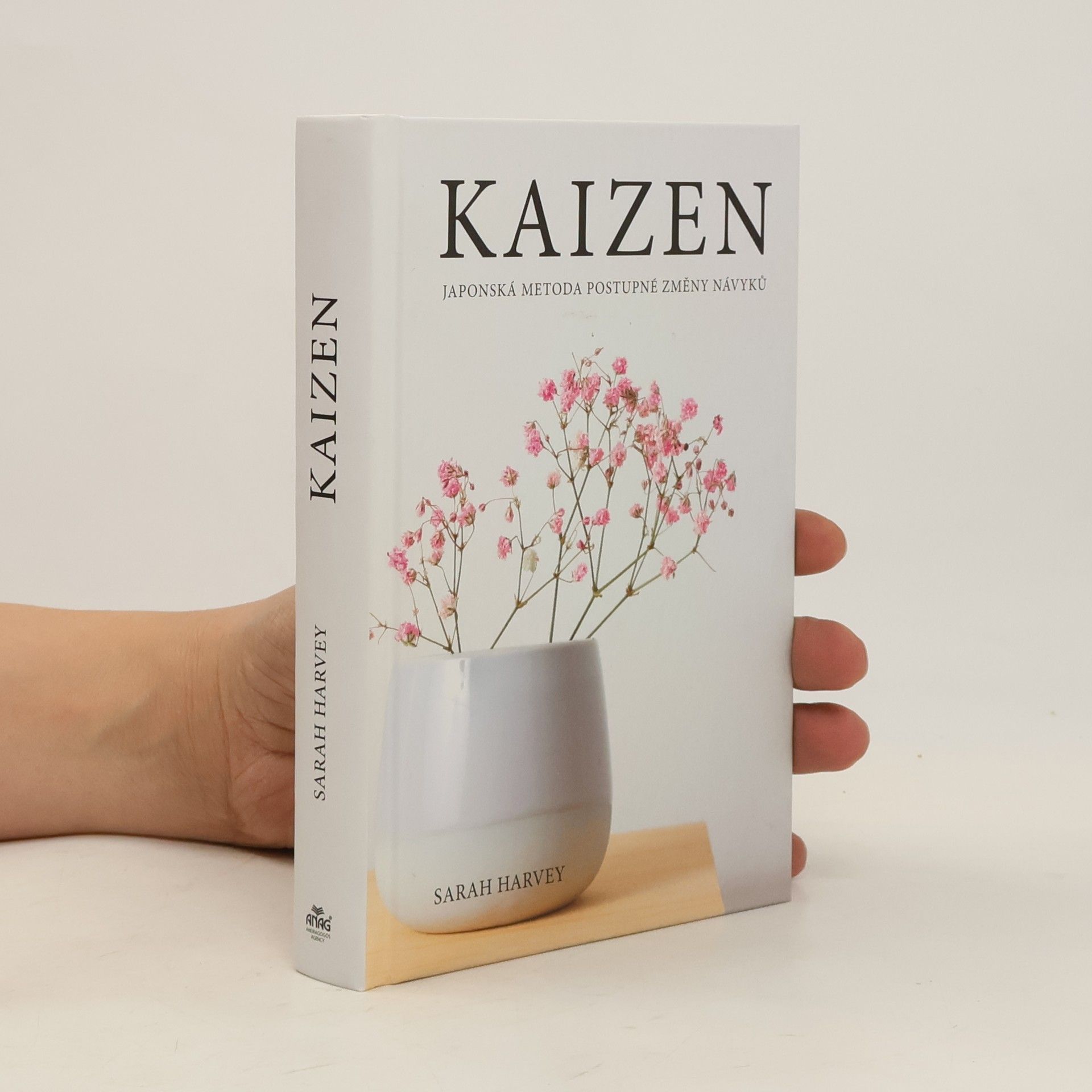 Sarah Harvey Kaizen: Japonská metoda postupné změny návyků