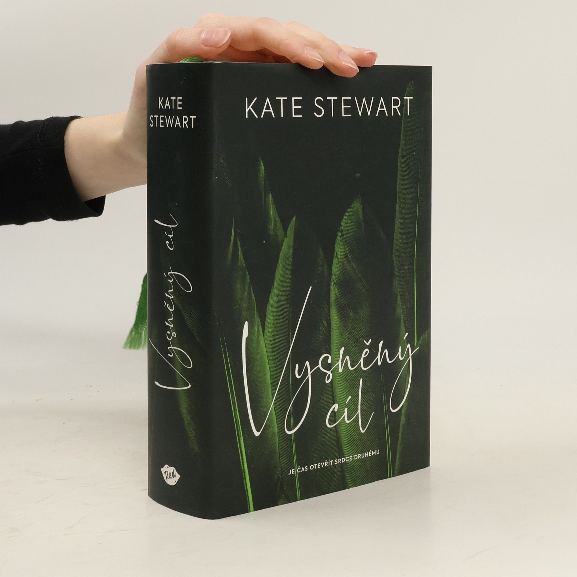 Kate Stewart Vysněný cíl. Kniha třetí