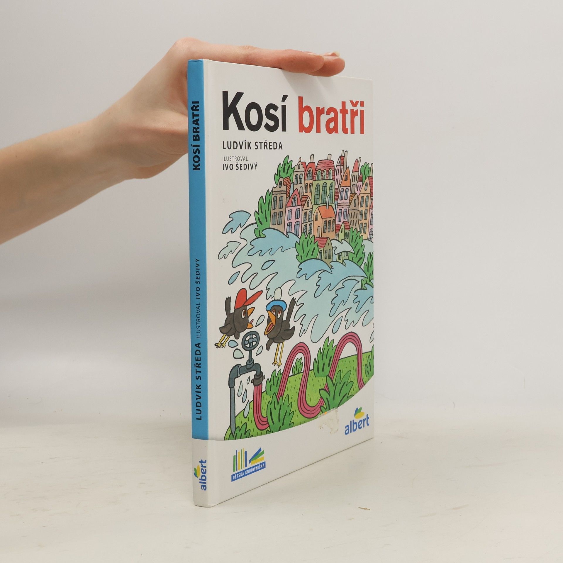 Ludvík Středa Kosí bratři