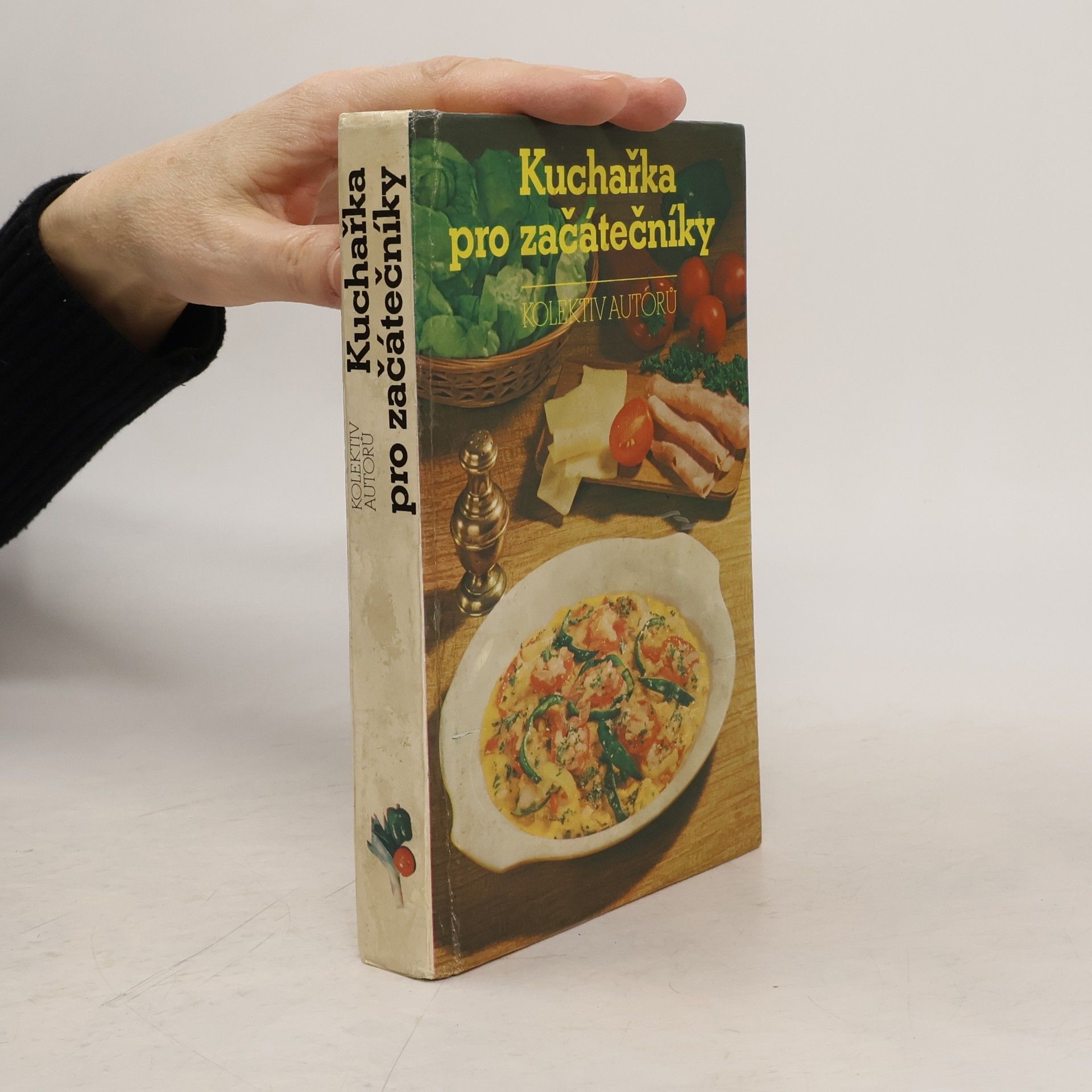 Kolektiv autorů Kuchařka pro začátečníky
