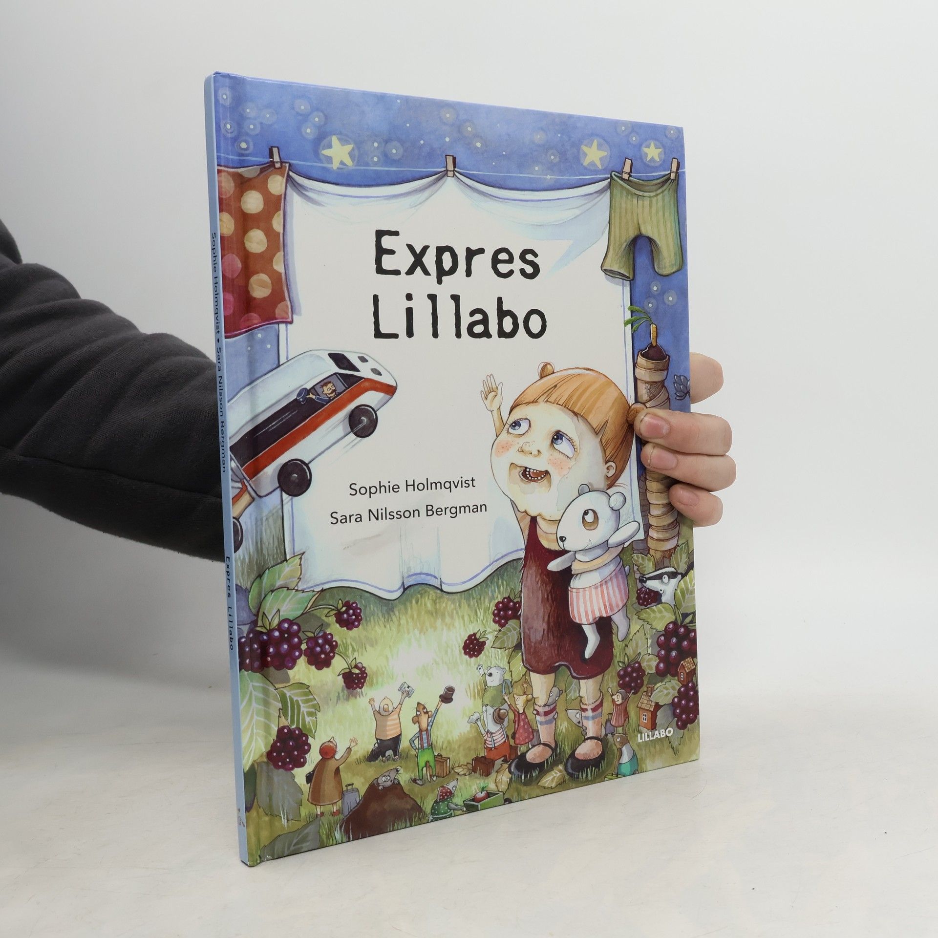 Sara Nilsson Bergman Expres Lillabo
