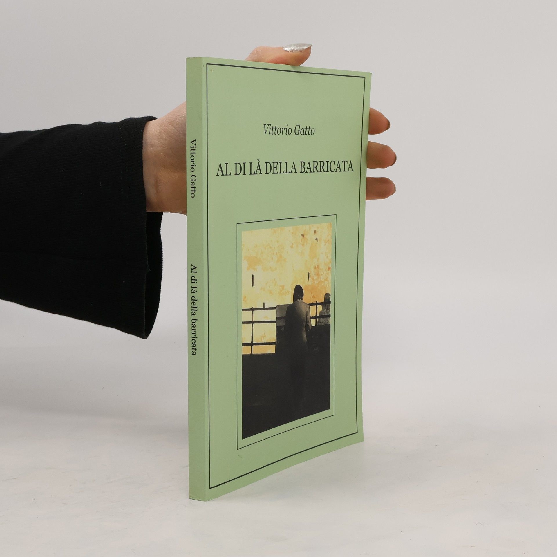 Vittorio Gatto Al di là della barricata