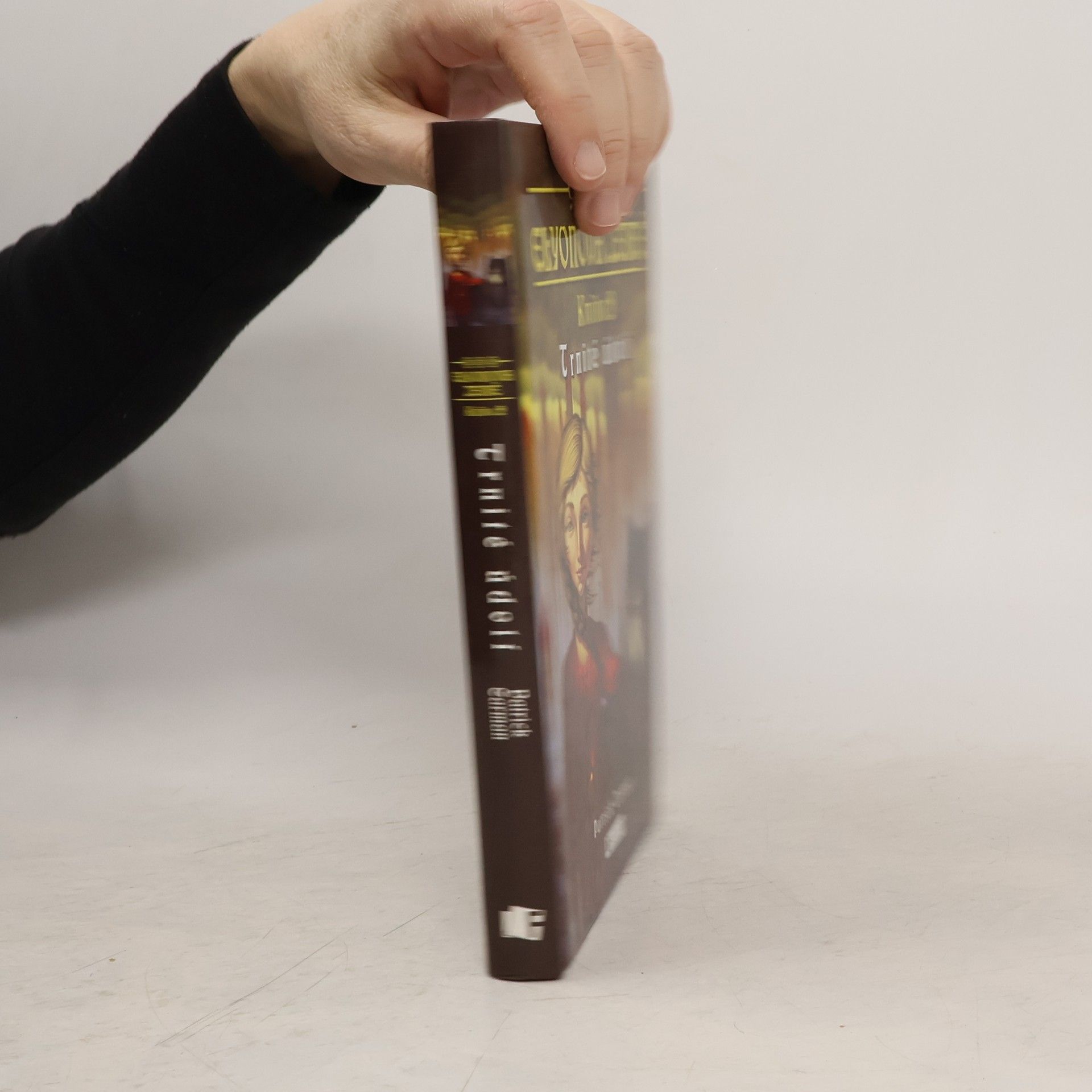 Patrick Carman Elyonova země. Kniha 2, Trnité údolí