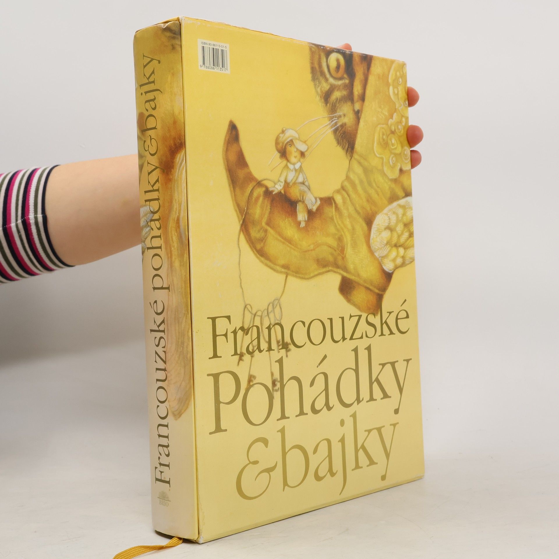 Autorenkollektiv Francouzské pohádky & bajky