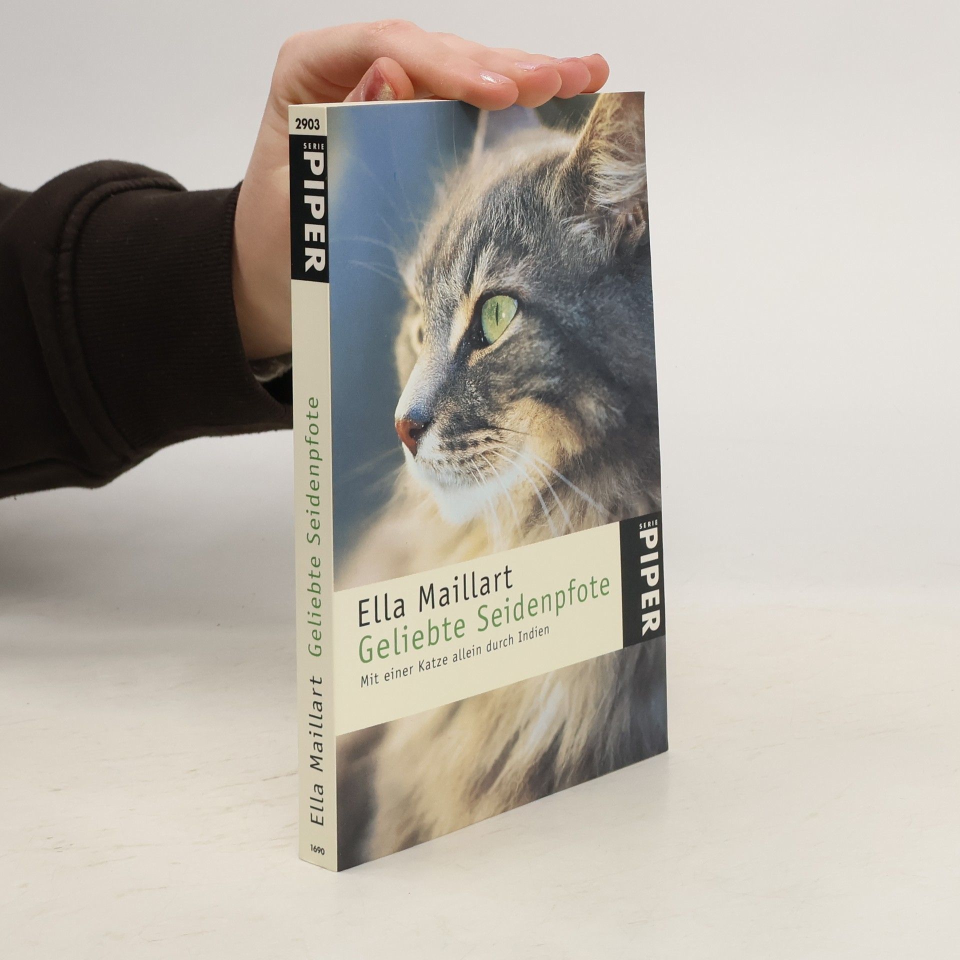 Geliebte Seidenpfote