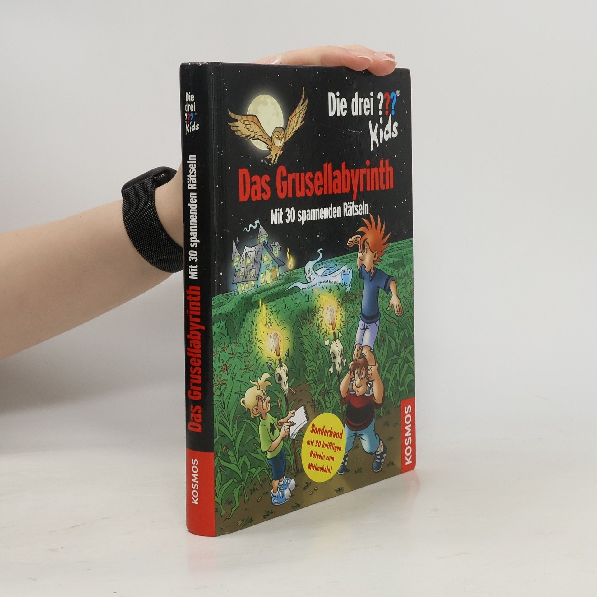 Ulf Blanck Das Grusellabyrinth