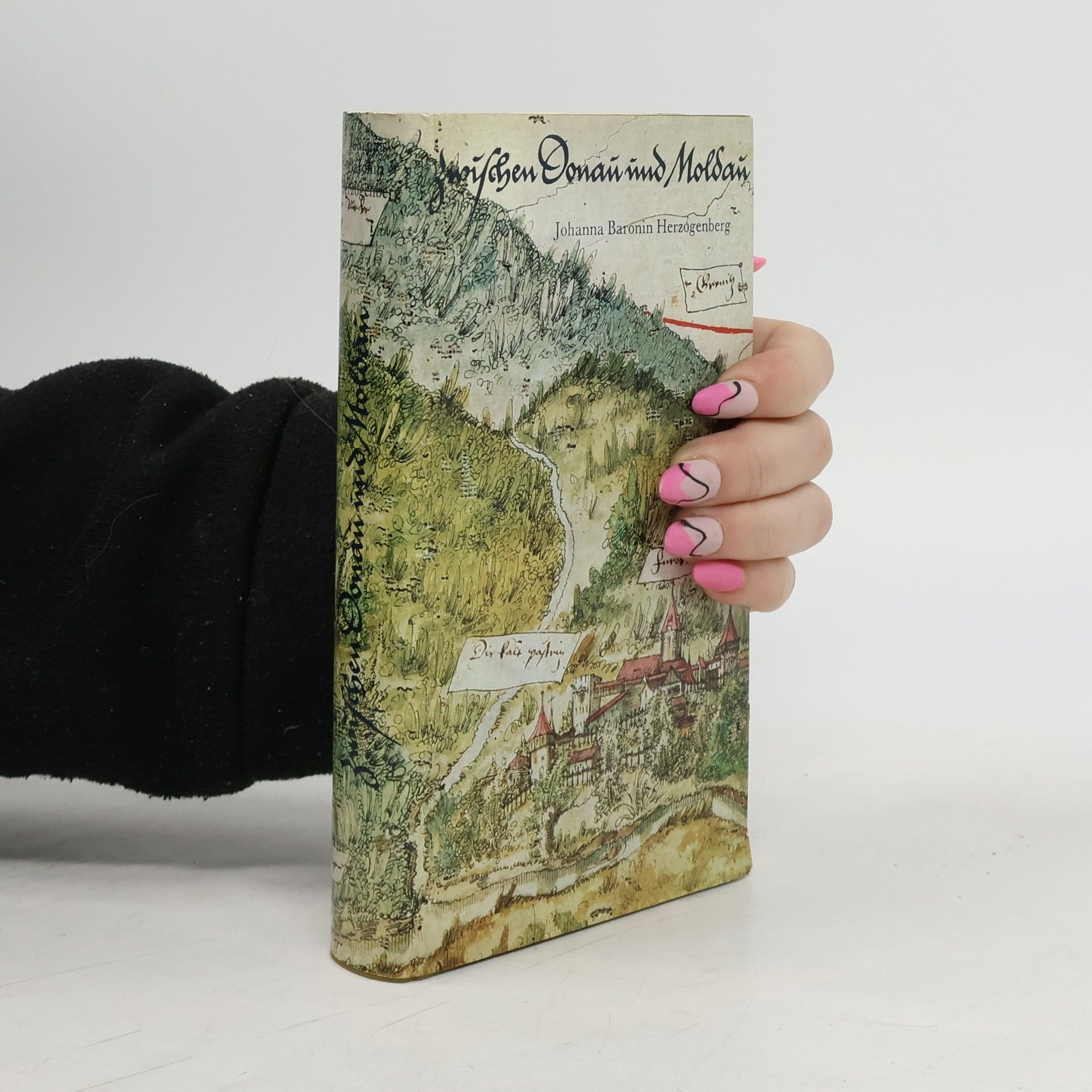 Johanna Herzogenberg Zwischen Donau und Moldau